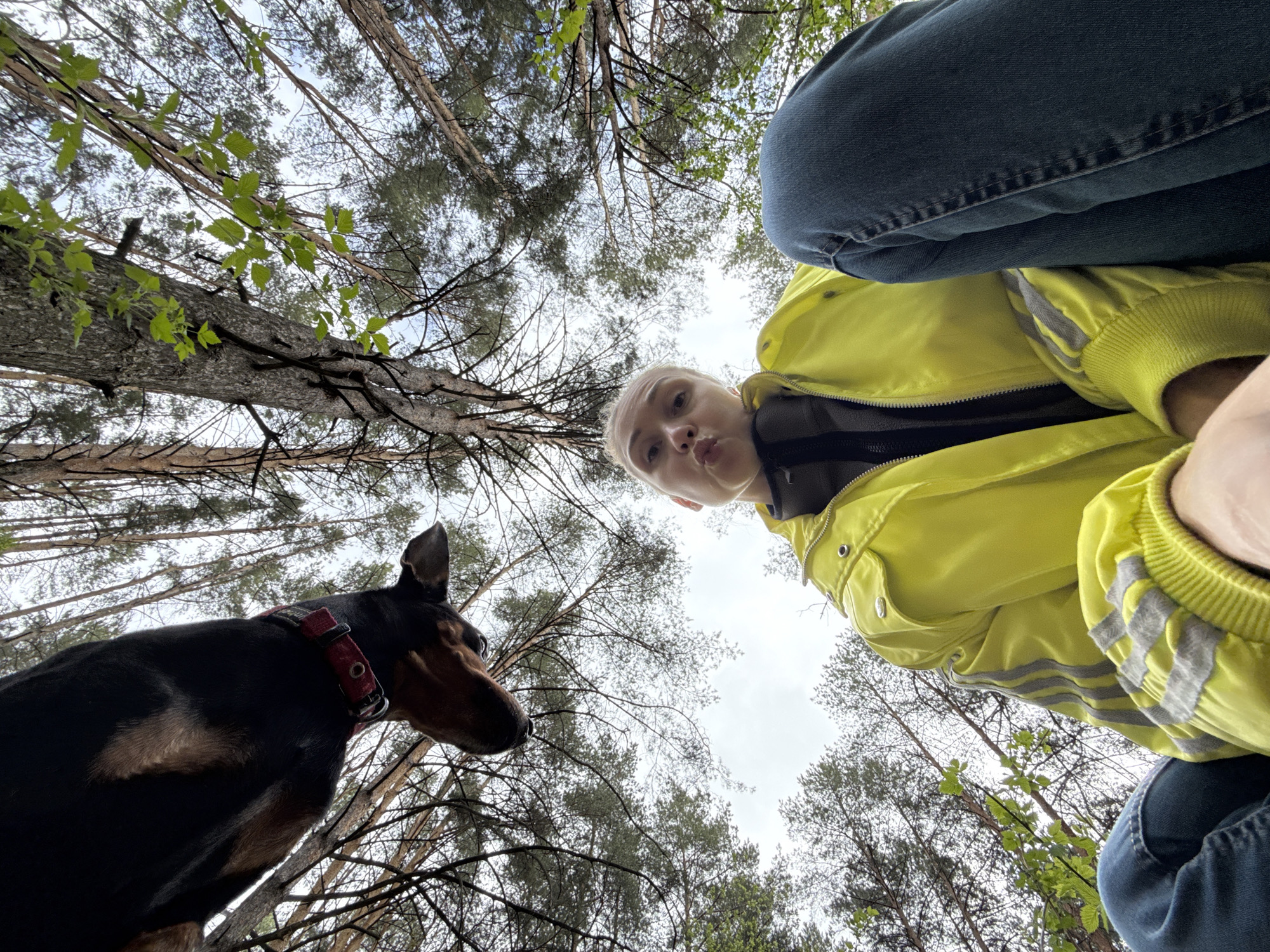 A low-angle shot features a young person in a bright yellow jacket and dark jeans, positioned above and to the right of a black and tan Doberman Pinscher, which is wearing a red collar. The person's face is visible, tilted downward, with a slight pout. The dog is looking up towards the person. Both subjects are framed by a dense forest canopy. The sky is overcast. The location is likely the city of Chaikovsky, Russia.
