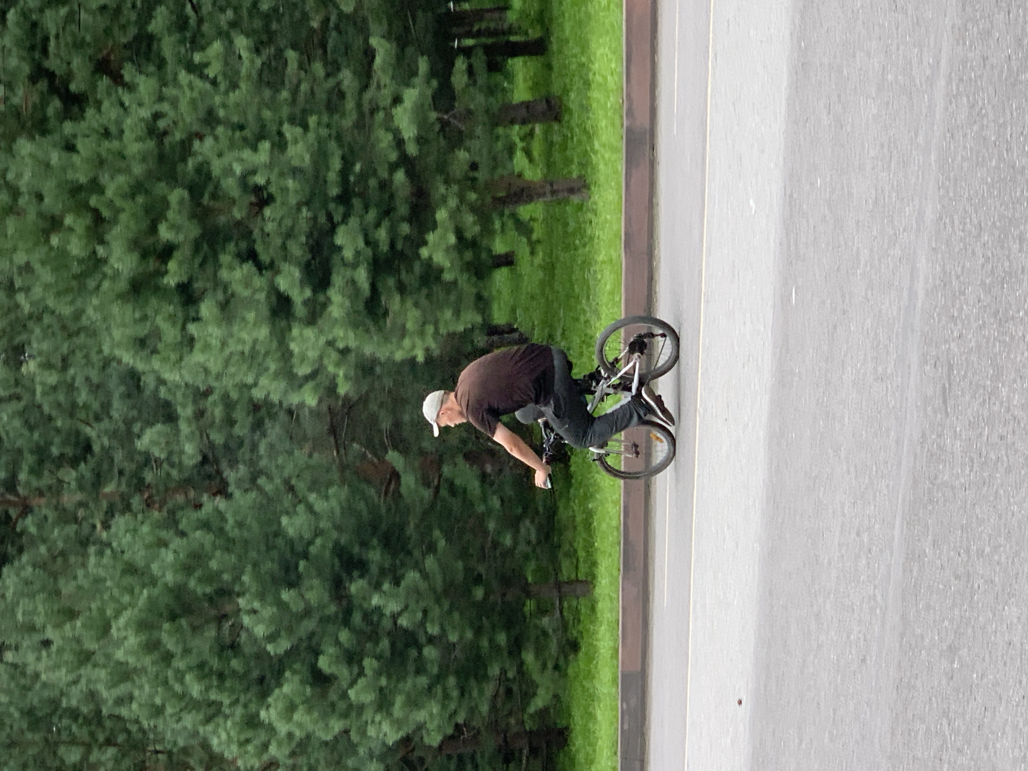 A man rides a bicycle on an asphalt road. He is wearing a dark t-shirt, dark pants, and a light-colored baseball cap. The bicycle is silver with black tires. In the background, there are tall green trees and a grassy area. The road has a yellow dividing line. The scene appears to be a park or a road bordering a park. There is no identifiable information that places this image specifically in Prokopyevsk, Russia.