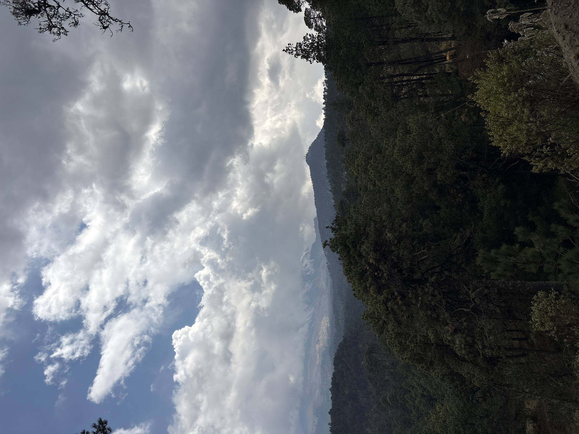 The image shows a mountainous landscape near San Mateo Ozolco, Mexico. The right side of the frame is dominated by a dense, dark green forest covering a mountainside. The left side features a dramatic sky filled with thick, grey and white cumulus clouds. Patches of blue sky are visible amongst the clouds. In the distance, other mountains are visible between the forest and the clouds. A sparse tree branch is visible in the upper left corner.