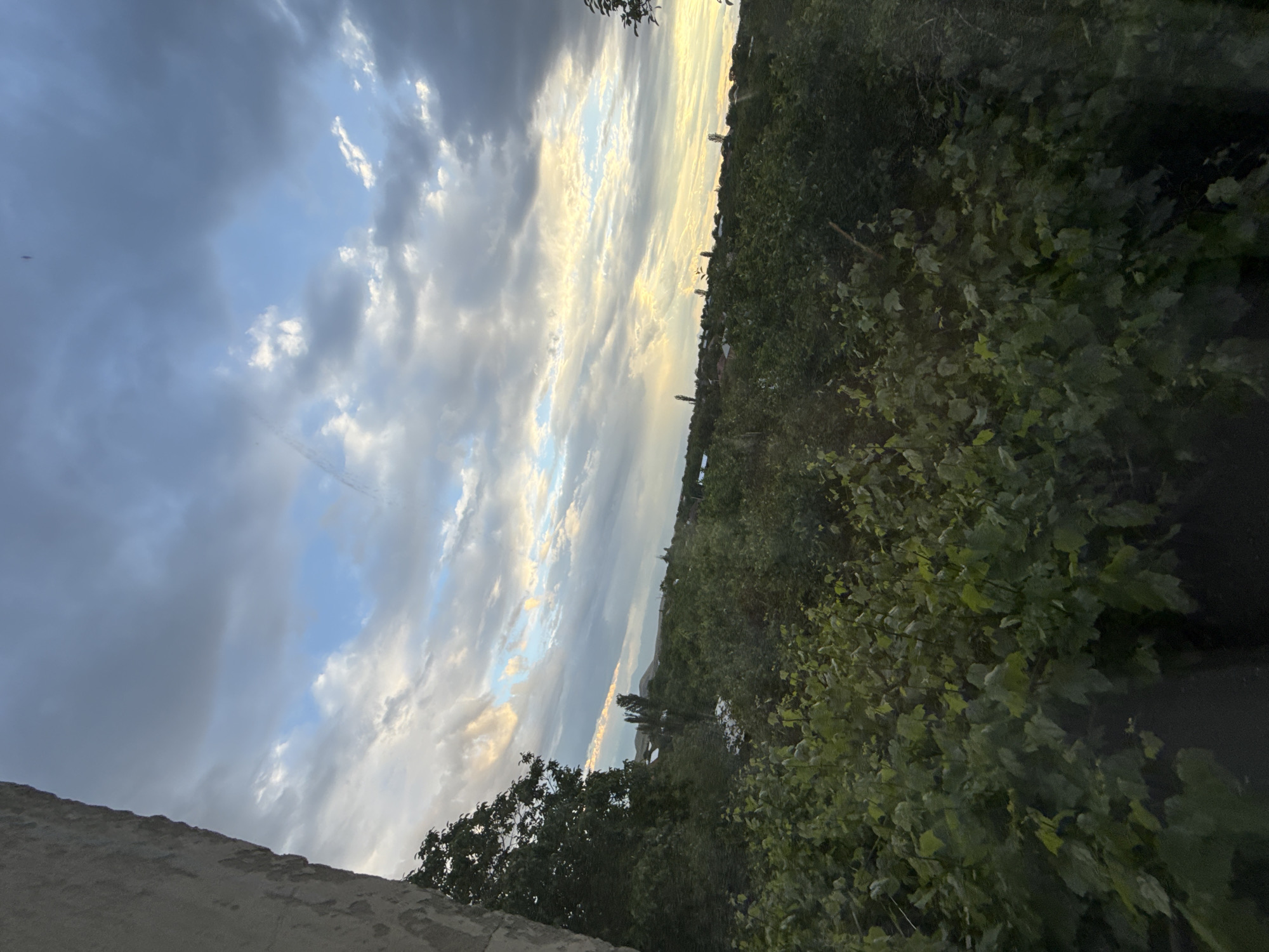 The image captures an expansive outdoor landscape, likely during late afternoon or early evening, under a dynamic sky. The sky, occupying the upper portion of the frame (when correctly oriented), is filled with a mixture of dark grey, lighter grey, and white clouds. Patches of clear blue sky are visible, and bright, golden sunlight breaks through the clouds, particularly towards the right side of the horizon, casting a warm glow.
Below the horizon, a dense, verdant landscape of trees and bushes stretches across the middle and lower sections of the image, suggesting a heavily vegetated or forested area. Along the distant horizon line, faint silhouettes of what appear to be buildings or towers can be observed. In the lower left foreground, a textured, light-colored concrete or stone wall is visible, indicating the photograph was taken from an elevated perspective. There are no discernible people, specific activities, or visible text in the image. The scene conveys a sense of natural beauty and tranquility.