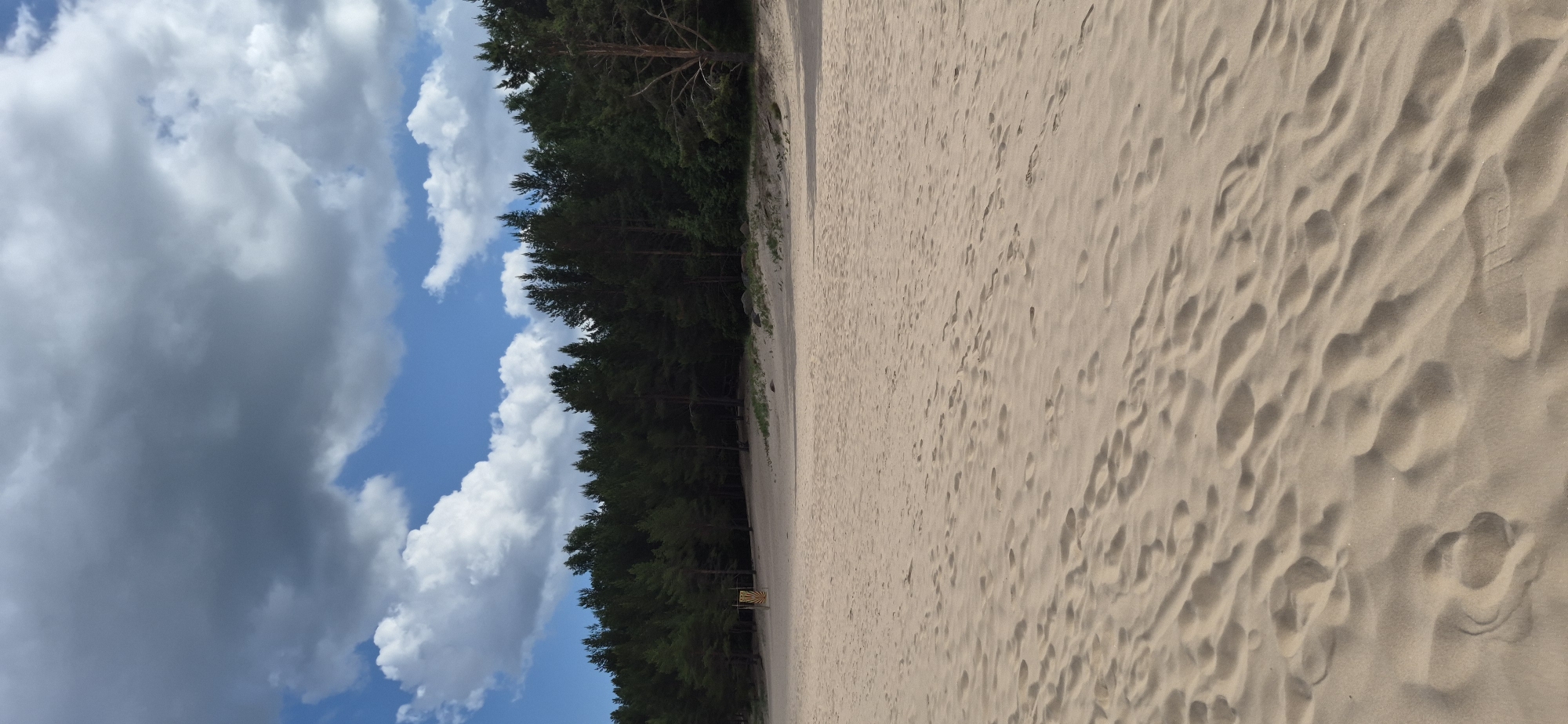 The image depicts a sandy beach adjacent to a dense forest of pine trees under a partly cloudy sky. The sand is marked with numerous footprints, suggesting recent human activity. In the distance, a yellow structure with a sunburst pattern is visible among the trees. The scene appears to be a natural outdoor environment, possibly a recreational area. There are no people or animals clearly visible in the frame. The overall impression is one of a tranquil, natural landscape. The location is identified as a beach in Motornoe, Russia.