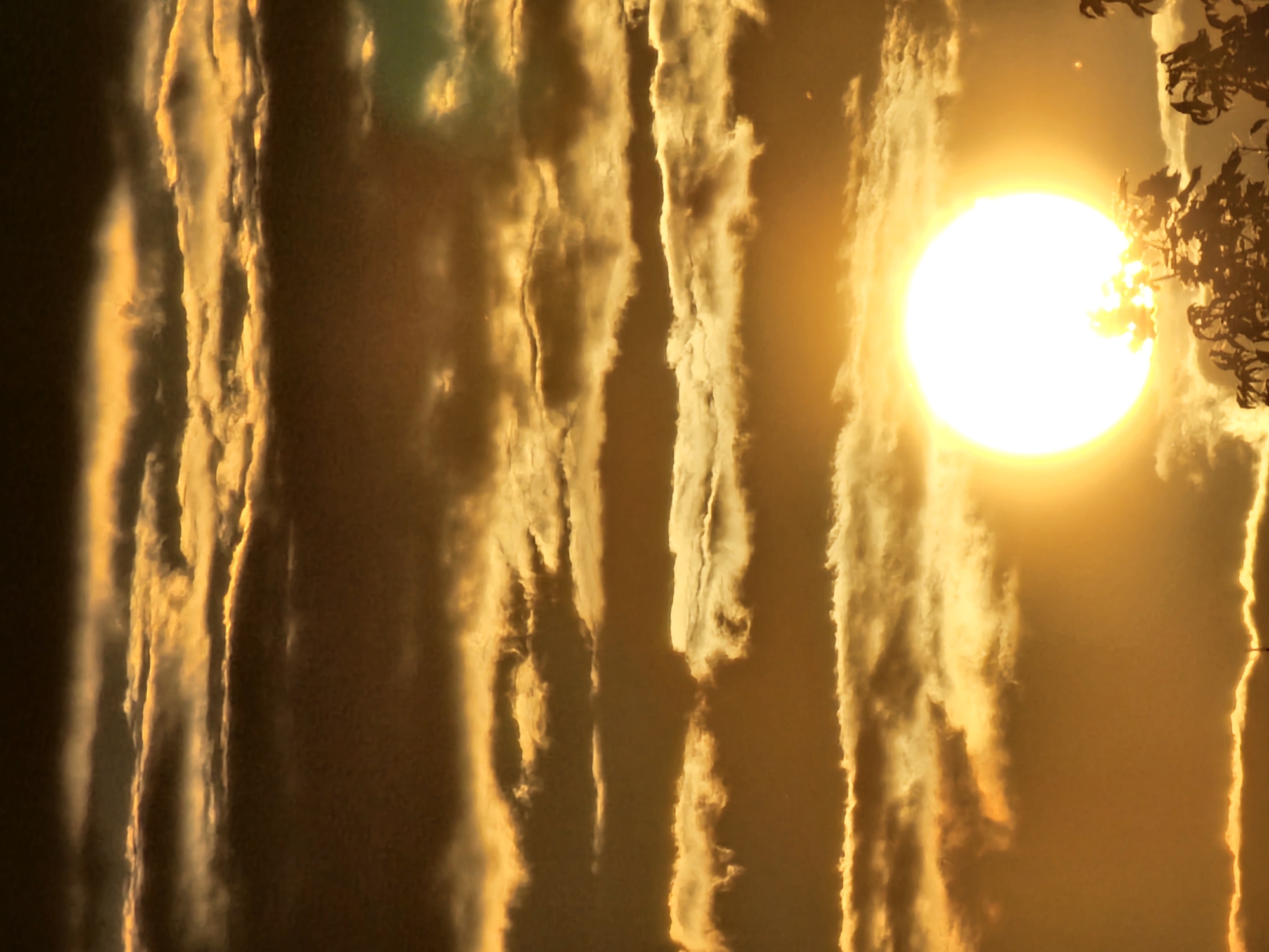 This is a vertical, close-up photograph of a sunset in Khimki, Russia. The sun, a bright, white orb, is positioned in the lower right quadrant of the image, partially obscured by silhouetted tree branches and foliage. The sky is filled with layered clouds, illuminated by the setting sun, creating bands of orange, gold, and dark brown. Some of the clouds have bright, glowing edges. The lower edge of the image shows the dark silhouettes of trees against the bright sky.