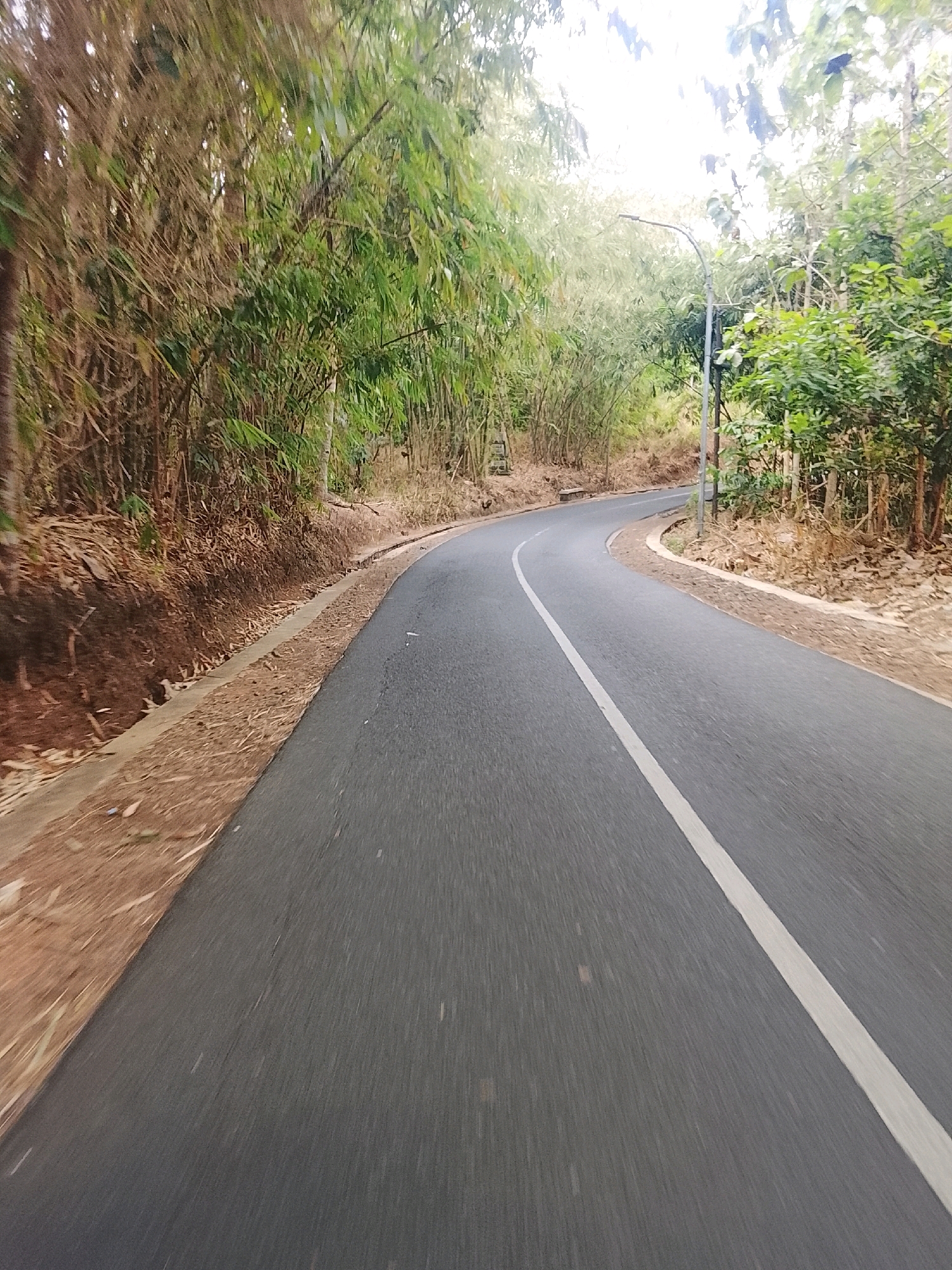 The image depicts a curved asphalt road with a white lane marker, suggesting a road in or around Banjar, Indonesia. The road is flanked by dense vegetation, primarily bamboo on the left and a mix of trees and foliage on the right. The ground on the left side of the road is a dirt embankment covered with dry leaves and bamboo debris, with a concrete curb or drainage system visible. A single lamppost is present on the right side of the road. The lighting indicates it is daytime, with a bright sky visible through the trees. There are no people or vehicles visible in the scene. The perspective suggests the photo was taken from a moving vehicle or handheld camera at a low angle, creating motion blur in the foreground.