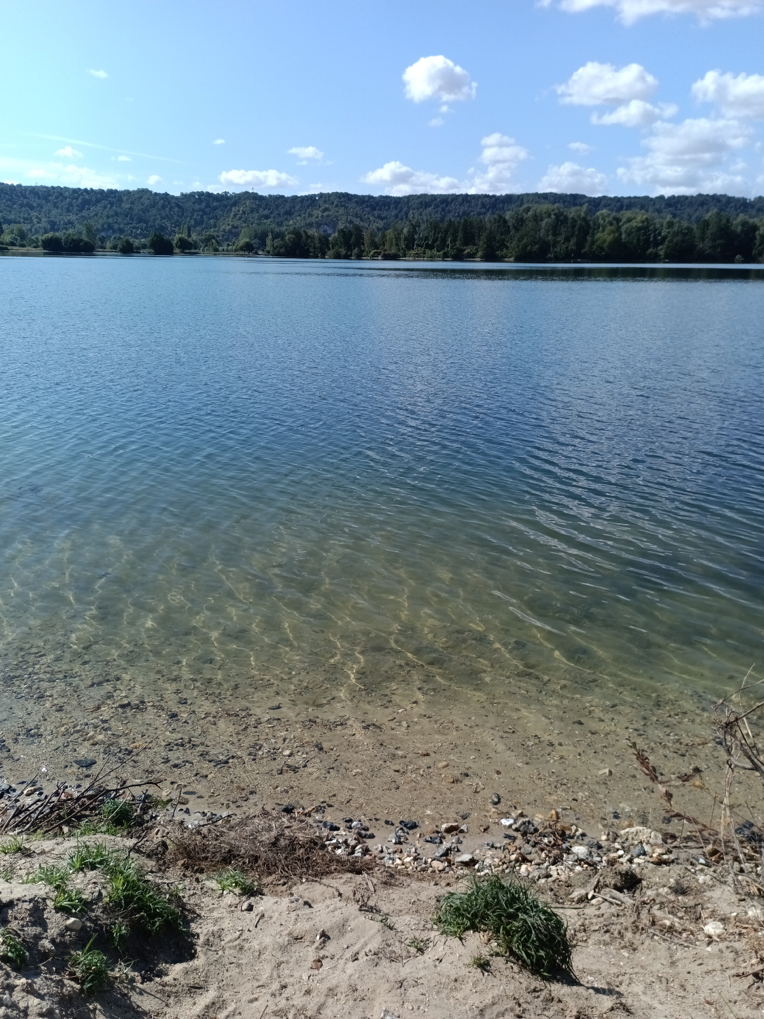 The image depicts a tranquil scene of a body of water, likely a lake or a wide river, with a forested hillside in the background under a partly cloudy sky. The water is calm, with gentle ripples reflecting the light. The foreground consists of a sandy bank dotted with pebbles, driftwood, and some sparse green vegetation. The overall impression is one of natural beauty and serenity. While the prompt mentions Jumièges, France, the image itself provides no explicit visual cues to confirm this specific location. The scene could be anywhere with similar natural features.