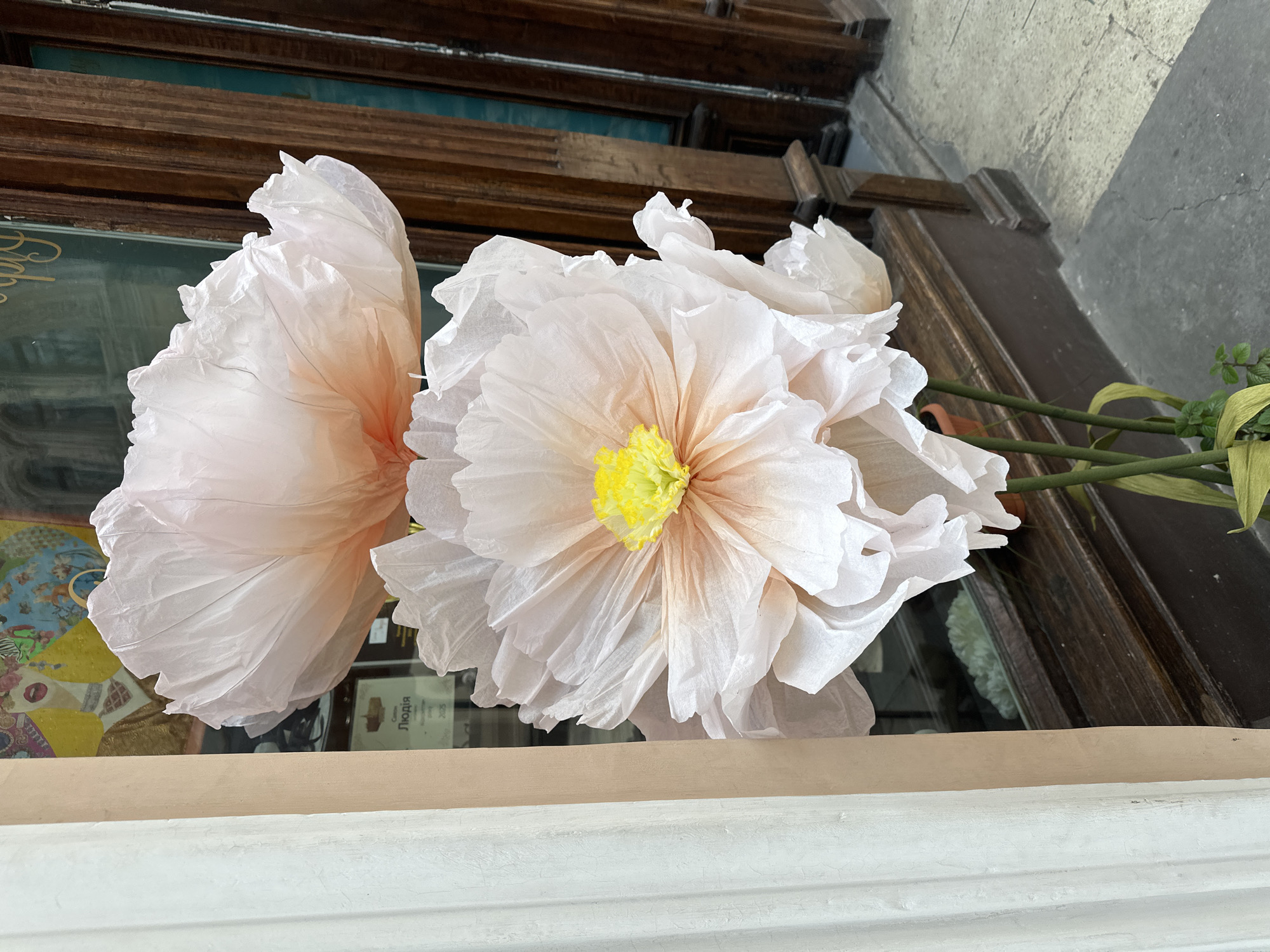 A close-up shot shows two large, handmade paper flowers with peach-toned petals and yellow centers resting on a ledge. The backdrop consists of a dark wooden window frame and a portion of a building facade. The location is Unknown, Unknown.