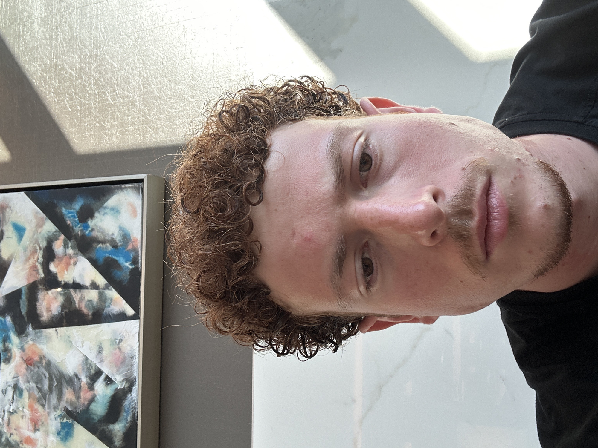 A man with curly brown hair is shown from a close-up, slightly angled perspective. His complexion is fair, and he has a light beard. He is wearing a black shirt. To the left, there's a framed painting with geometric shapes in shades of blue, white, gray, and black. The background is a mix of light-colored surfaces, some reflecting light. The location is unknown, but the city of College Park, United States of America, is specified as part of the prompt.