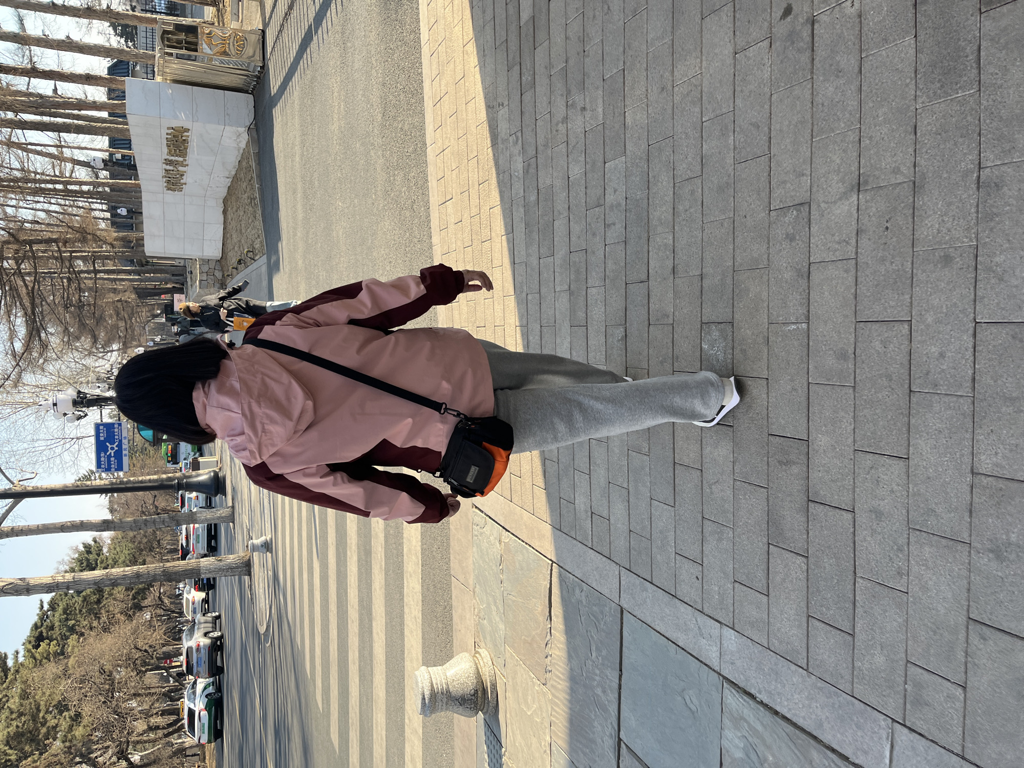 A person is walking on a sidewalk in Changchun City, China. The sidewalk is made of gray rectangular pavers and has a border of larger gray stones. The person is wearing a pink jacket with burgundy sleeves and gray sweatpants, and has a black shoulder bag with an orange stripe. They are walking away from the camera, with their back to the viewer. The person is on a crosswalk, marked with white stripes. A row of trees lines the left side of the street, and cars are parked alongside the road. There is a stone sign in the background, with some writing in Chinese. The weather appears to be sunny.