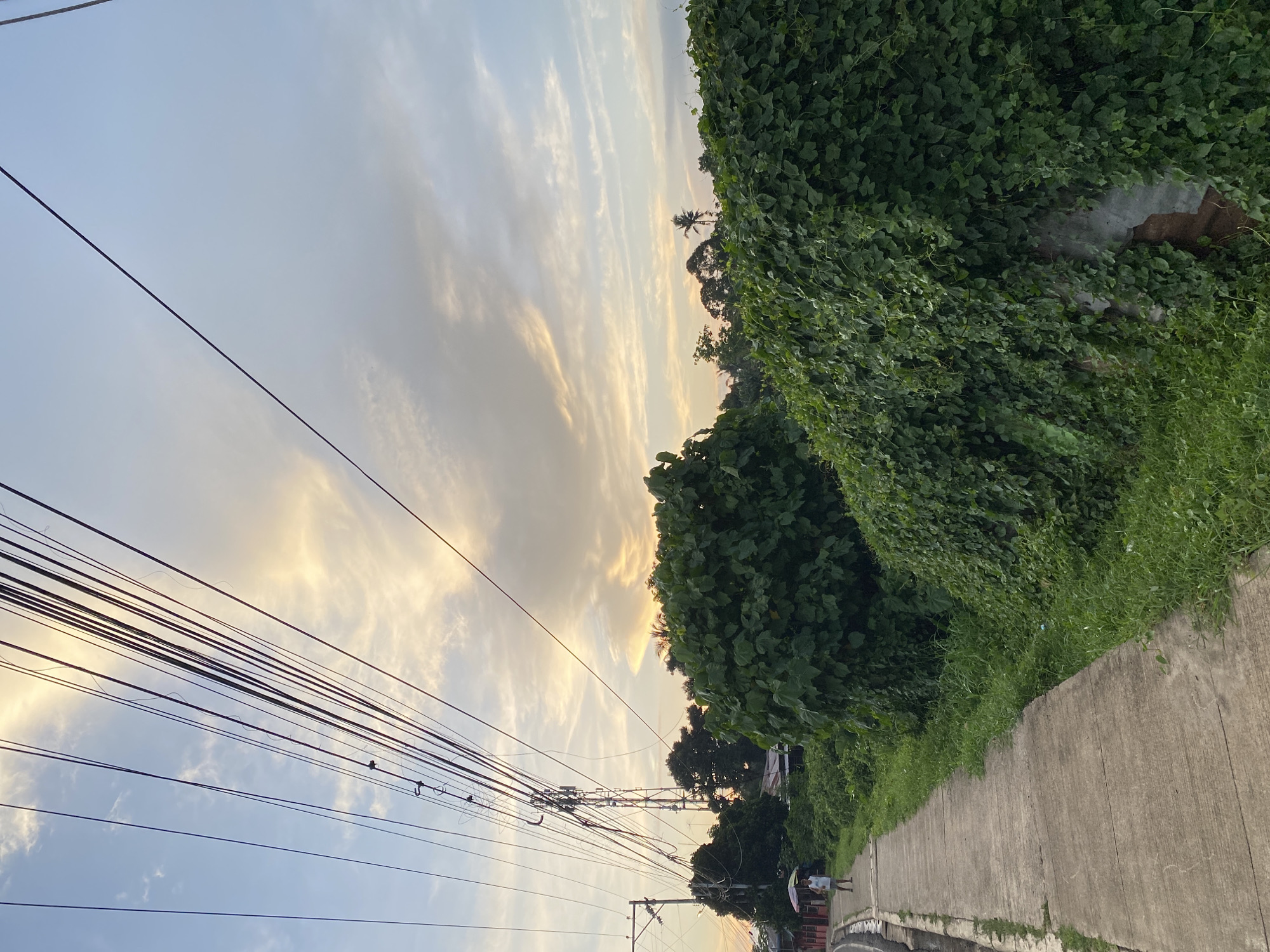 This is a photograph taken from a sidewalk looking towards a communication tower and dense greenery under a sky with scattered clouds and the warm glow of sunset. A single person, likely a male, is walking away from the viewer on the sidewalk, carrying a small, colorful umbrella. Power lines crisscross the sky, leading to the tower. The vegetation is lush and thick, with some of the plants covering what appears to be a concrete structure or wall on the right side of the image. The scene suggests a semi-urban or rural setting within Davao City, Philippines, possibly during the late afternoon or early evening.