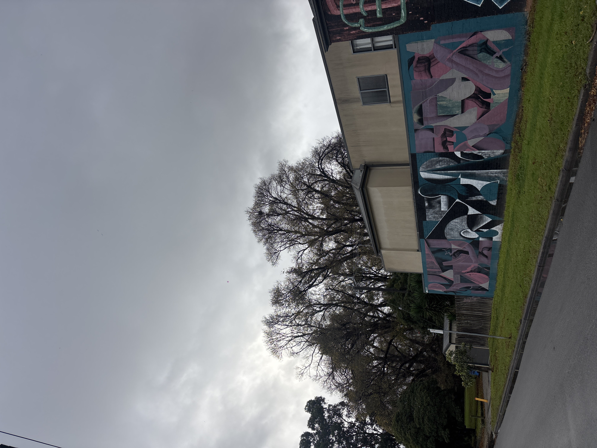 The image depicts a street scene in Brunswick East, Australia, under an overcast sky. The foreground features a wet asphalt road and a grey curb, with a strip of green grass bordering the sidewalk. A vibrant mural covers the lower section of a building wall. The mural is an abstract design featuring geometric shapes and organic forms in shades of teal, purple, pink, and grey. To the left of the mural, a wooden fence and a small shed are visible, partially obscured by a young tree and foliage. In the background, bare-branched trees dominate the skyline, their branches stark against the dull sky. A light-colored building with dark-framed windows rises above the mural. The overall atmosphere is somber and muted, characteristic of a cloudy day.