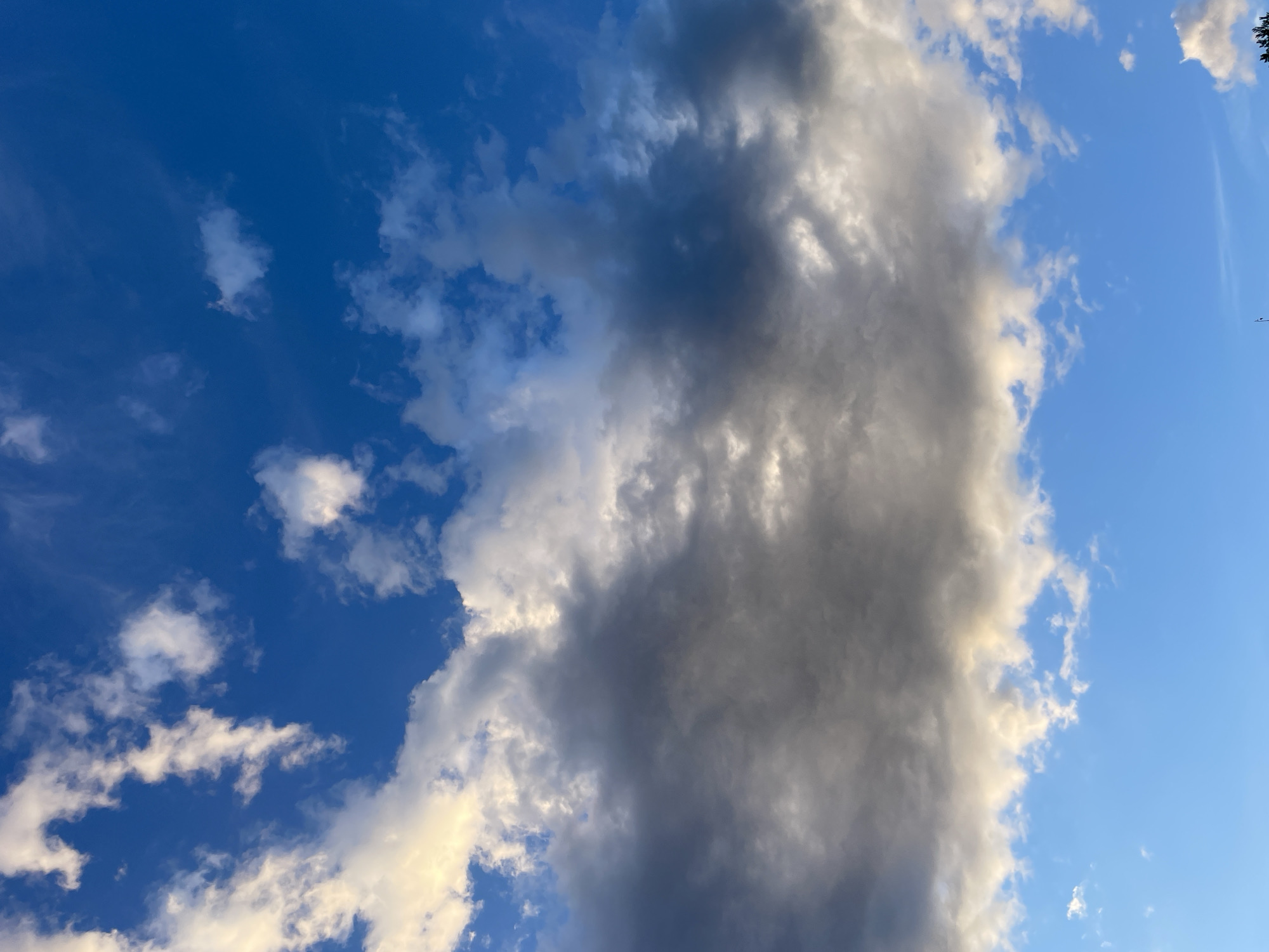 This media file is a photograph of the sky. The scene is dominated by a large, dark cumulonimbus cloud stretching vertically across the frame, obscuring a significant portion of the bright blue sky. Lighter, wispy clouds are scattered around the edges of the larger cloud and in the clear blue sections of the sky. The lighting suggests it is late afternoon or early evening, with the sun casting a warm glow on the edges of the lighter clouds. The overall impression is of a dynamic sky, possibly preceding or following a storm. There are no people, objects, text, or specific location cues visible in the image, other than the provided context of Rokosovo, Ukraine. The weather appears to be partly cloudy with a chance of rain.
