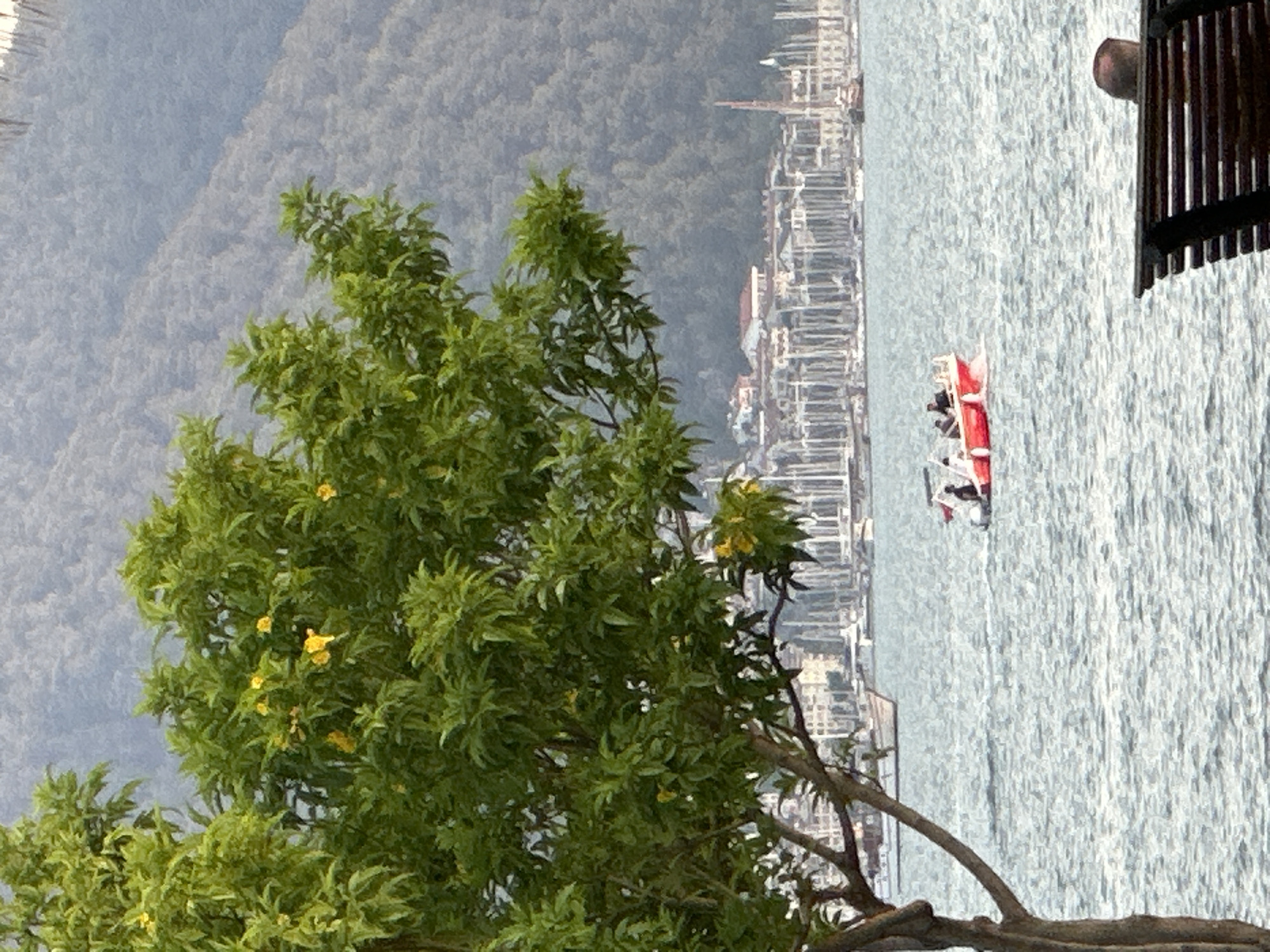A wide-angle, low-angle, slightly grainy, medium-shot photograph captures a serene coastal scene in Fethiye, Turkey. In the foreground, the trunk and branches of a leafy green tree with small yellow flowers extend from the left side of the frame, partially obscuring the view. The tree's foliage dominates the left half of the image, with its leaves and branches creating a natural frame.
The middle ground features a calm, choppy, blue-grey body of water. A small, bright red motorboat with white trim is traversing the water from left to right. Three individuals, appearing as dark silhouettes, are seated within the boat. The boat is creating a white wake as it moves.
In the background, a densely populated harbor is visible, filled with numerous sailboats and yachts. Their tall, white masts create a complex, almost abstract pattern against the backdrop of buildings. The buildings themselves are clustered together, displaying a mix of architectural styles with terracotta roofs and white and pastel-colored facades.
Beyond the harbor, a large, hazy, green mountain range rises steeply, its slopes covered in dense foliage. The overall impression is one of a tranquil and picturesque bay, likely within the Fethiye region, known for its natural beauty and marina. The lighting suggests it is late afternoon or early morning, with the sun being diffused by atmospheric conditions. A dark wooden bench is visible in the bottom right corner, with the back of a person's head, their hair dark and thinning, visible as they sit on it.