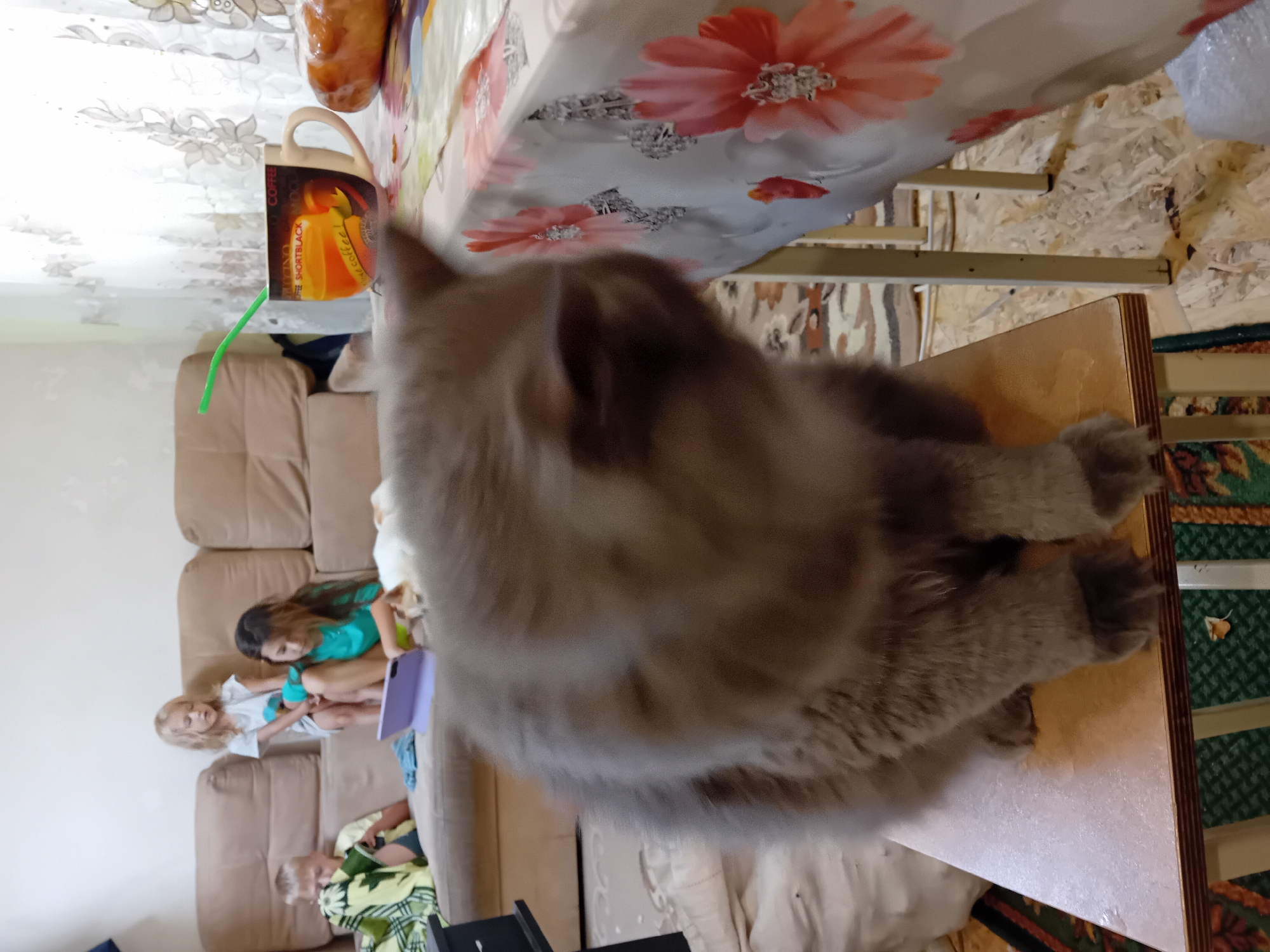 The image captures an indoor scene, likely a living room, within the city of Chuhuiv, Ukraine. In the foreground, a large, fluffy grey cat is seated on a wooden stool, its body largely filling the frame and its head blurred due to motion. To the right, a table is partially visible, covered with a tablecloth adorned with a floral pattern in pink and white. On the table, a mug with a coffee-themed design and a green straw is placed next to a baked good, possibly bread or a pastry. In the background, three children are present. A boy, partially obscured by a green and yellow blanket, is sitting on a beige sofa and looking at a device. To his right, a girl in a turquoise top is seated, holding a purple tablet, and a smaller child with blonde hair stands nearby. The overall environment suggests a casual, domestic setting.