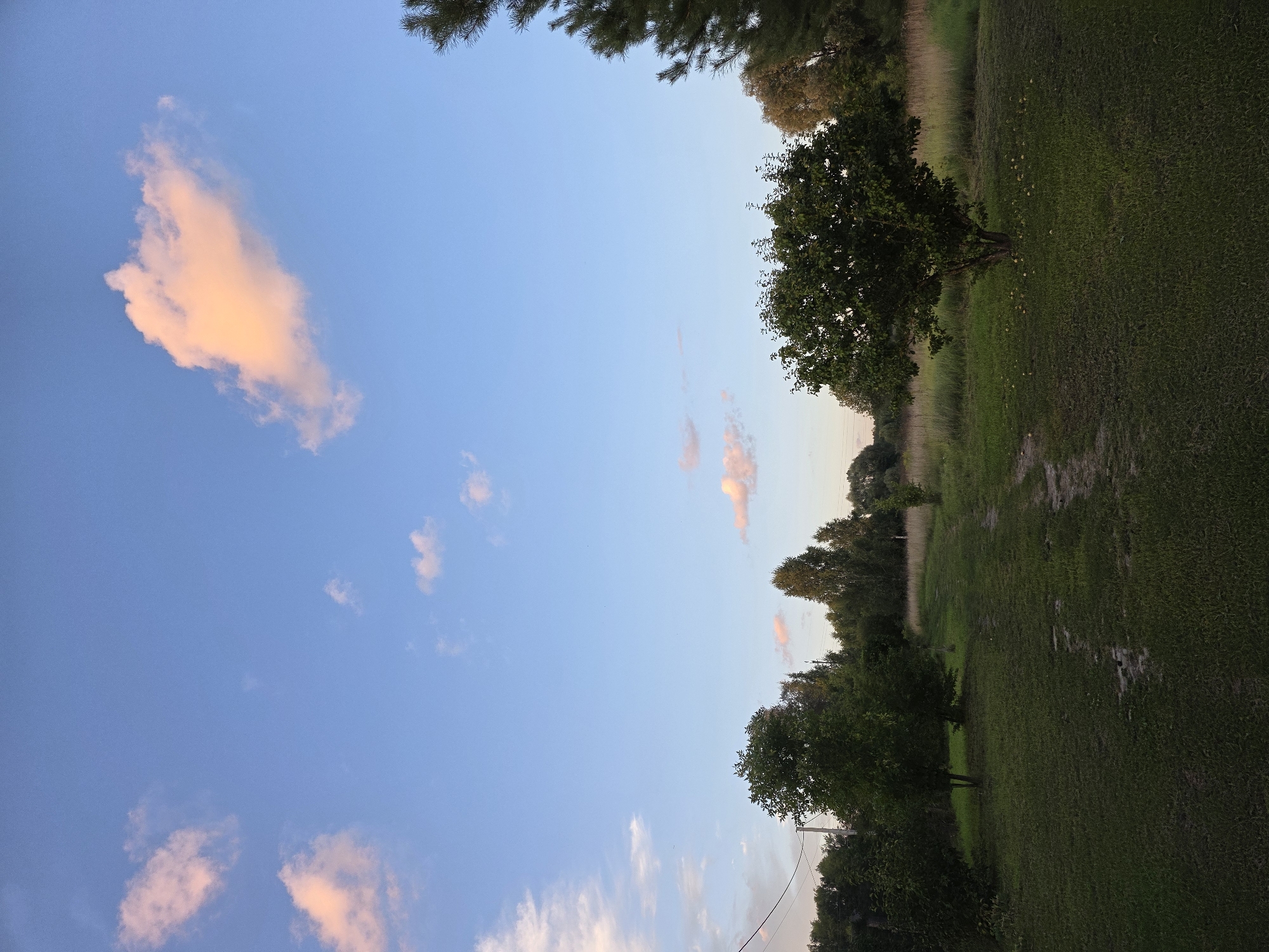 The image depicts a serene rural landscape under a vast blue sky dotted with soft, pink-hued clouds. A dirt path meanders through a grassy field, flanked by various trees and foliage. In the foreground, a well-maintained lawn is visible, with a lone tree standing in the middle ground. The background is characterized by a dense line of trees, suggesting a forested area or the edge of a field. The lighting indicates it is either early morning or late afternoon, with the warm tones of the clouds and the soft shadows on the ground reinforcing this impression. There are no people or animals present in the scene. The location appears to be a private property or a park-like setting, possibly in or around the city of Речицы, Russia, given the commonality of such landscapes in the region.