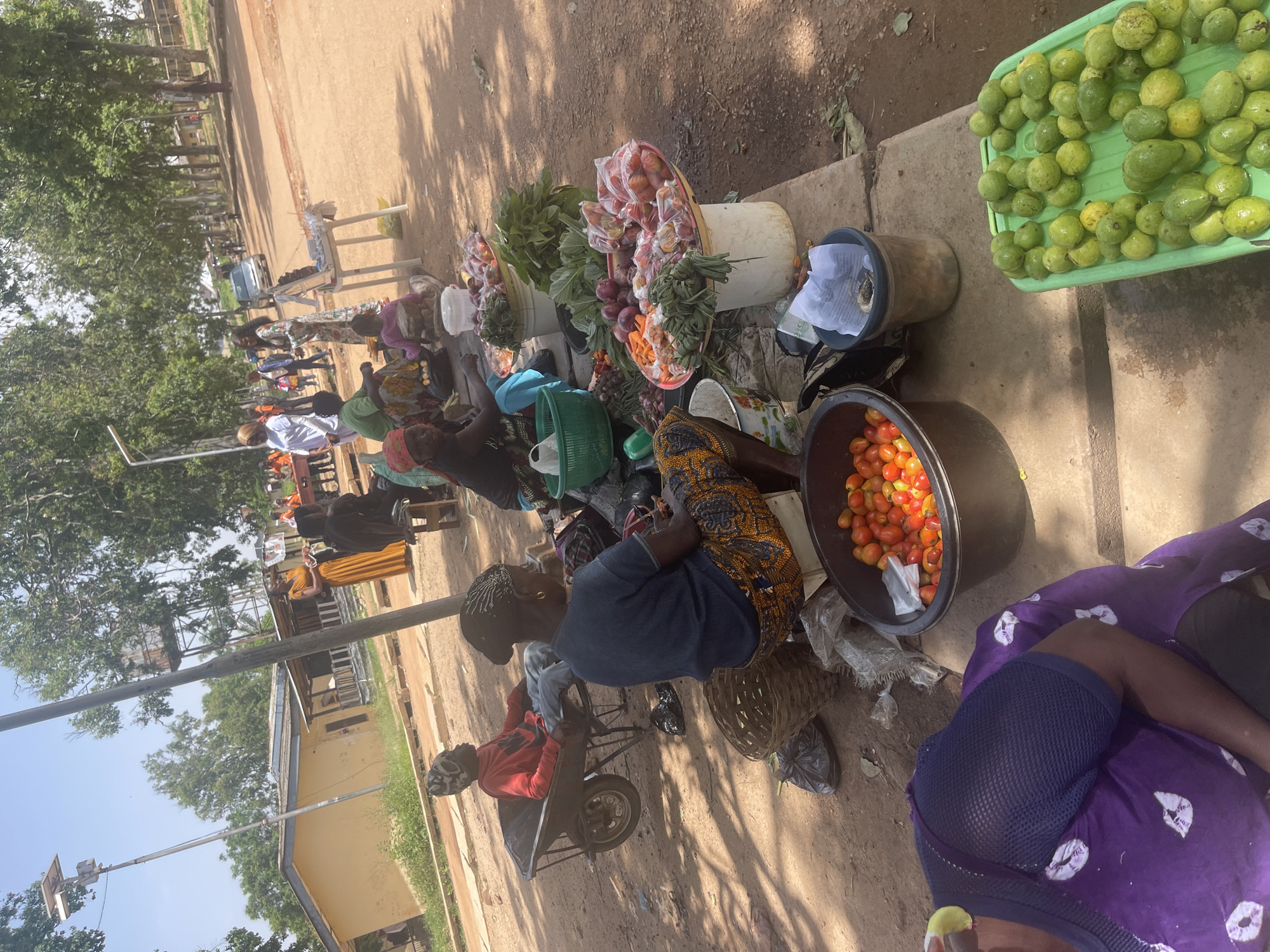This is a photograph of a busy outdoor market in Rafin Par, Nigeria. The scene is filled with people, mostly women, engaged in selling and buying produce. Several stalls are visible, laden with fresh fruits and vegetables such as tomatoes, guavas, onions, and leafy greens. The ground is dusty and appears to be unpaved, with shadows cast by trees suggesting it is daytime, likely mid-morning or afternoon.
The subjects are a mix of vendors and shoppers. Some are seated or standing behind their goods, while others are browsing. The clothing suggests a warm climate, with people wearing light fabrics and head coverings. One person is operating a wheelbarrow, likely for transporting goods. The overall atmosphere seems lively and industrious.
Notable details include the variety of produce, the use of baskets and buckets for display and storage, and the presence of a solar-powered street light in the background, indicating some modern infrastructure alongside traditional market practices. The weather appears to be sunny, with clear skies visible. The emotions conveyed are primarily those of everyday commerce and community interaction. There is no visible text in the image.