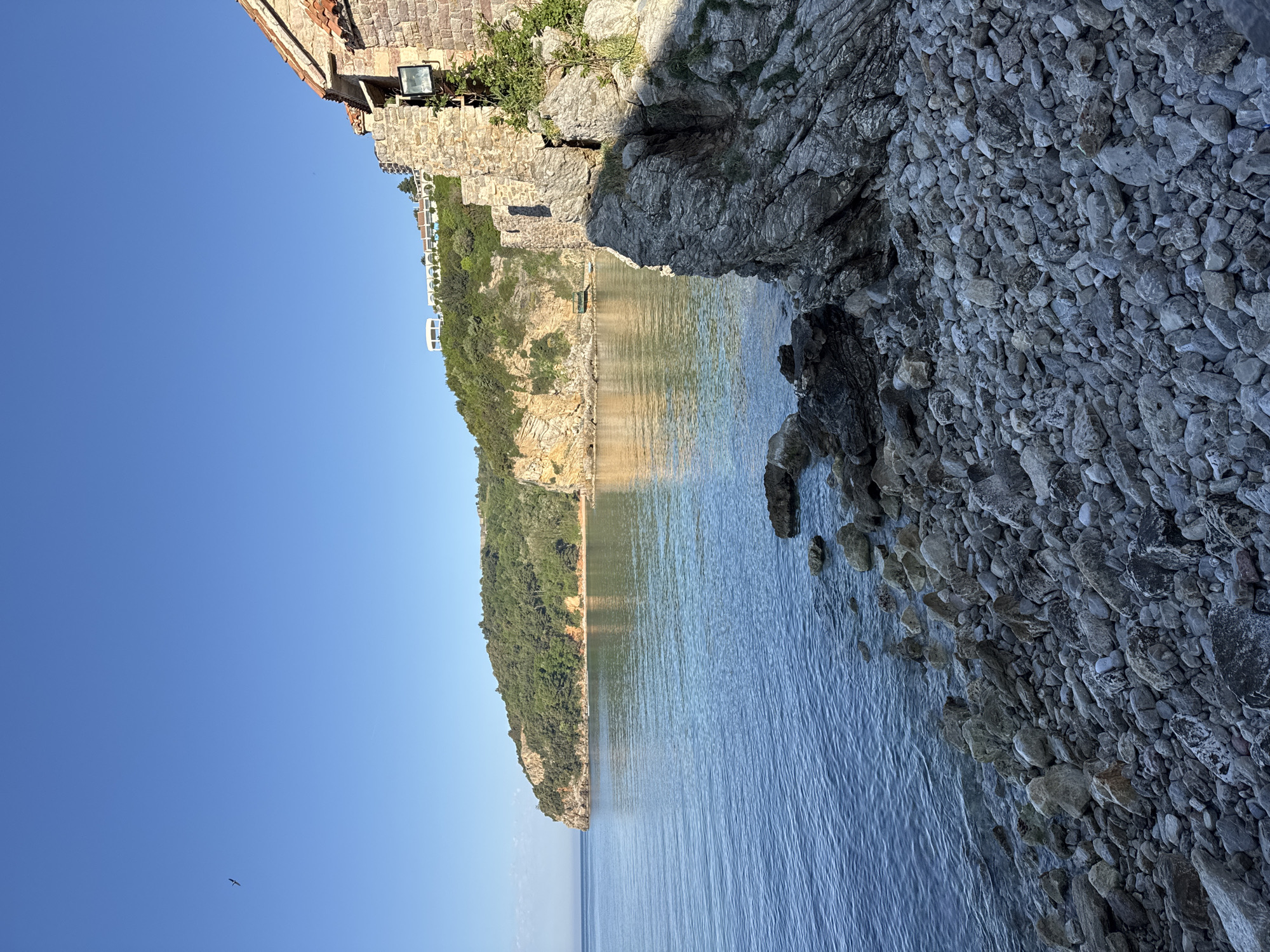 This image depicts a coastal scene in Budva, Montenegro. The right side of the image features a rocky shoreline covered with small pebbles and larger rocks. The water appears calm and reflects the colors of the sky and the adjacent land. In the distance, a cliff face is covered with dense green vegetation. On top of the cliff, there are buildings that appear to be part of a resort or residential complex. The sky is clear and blue. The image is taken from a low angle, looking out towards the water. A building made of stone is at the very top of the image. A bird is visible on the far left of the image near the horizon.