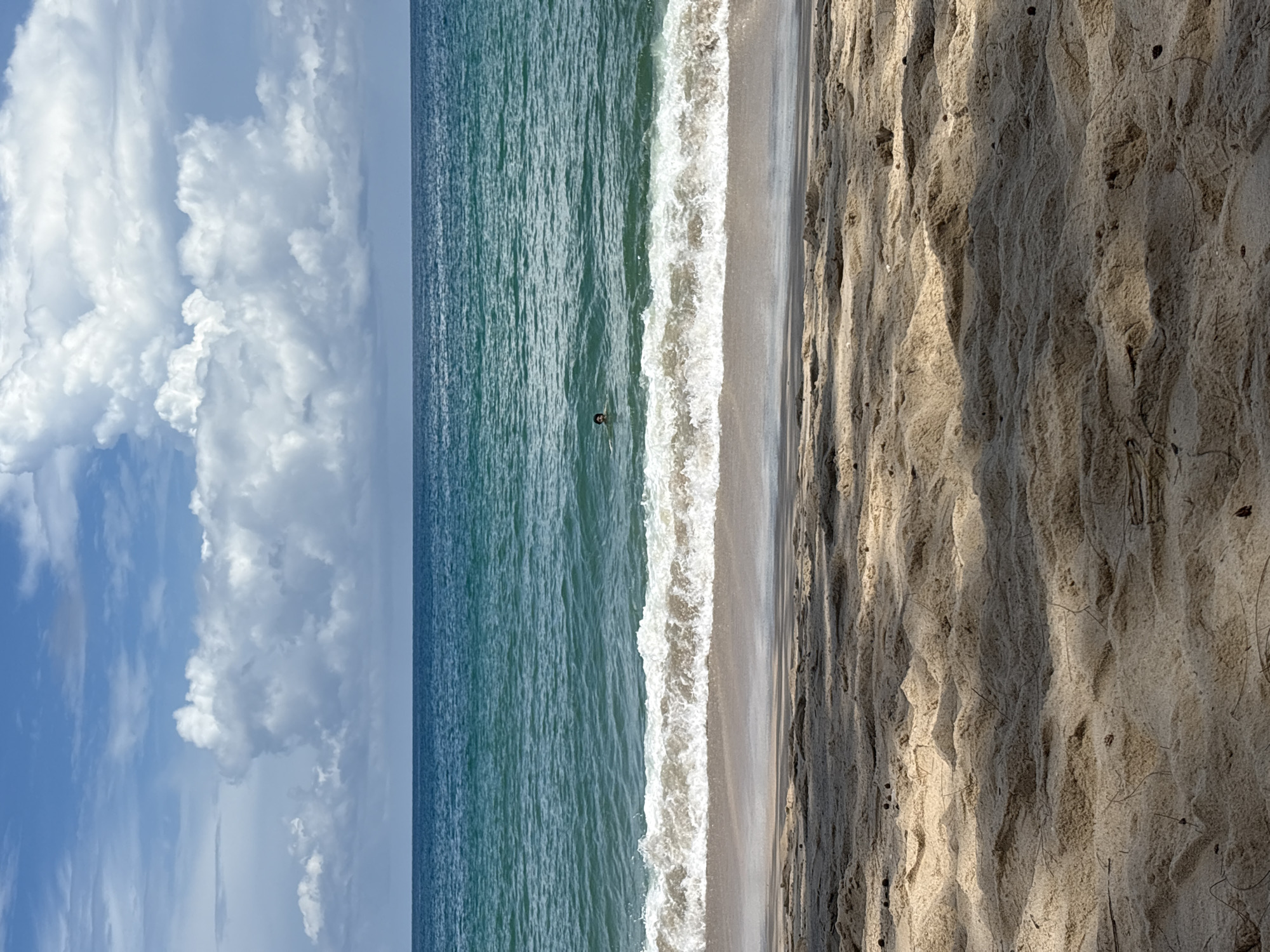 A low-angle, close-up view of sand in the foreground of a beach scene in Choeng Thale, Thailand. The sand is light brown with dark shadows cast by overhead foliage. A few small pieces of debris, possibly pine needles, are scattered across the surface. In the middle ground, a gentle wave breaks on the shore, its white foam contrasting with the wet sand. Beyond the surf, the turquoise ocean stretches to the horizon, meeting a bright blue sky dotted with fluffy white clouds. A solitary figure is visible swimming in the water, their head and shoulders breaking the surface.