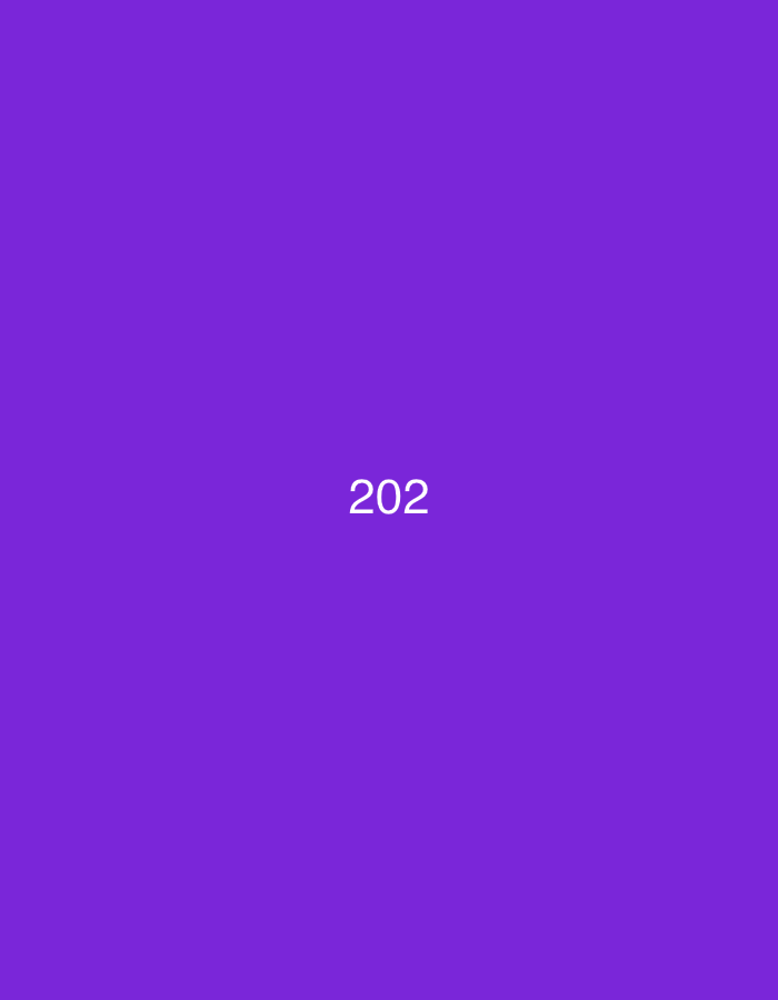 A solid purple background displays the number "202" in white text, centered horizontally and vertically. There is no discernible location in Đà Nẵng, Vietnam, or any other environmental context.