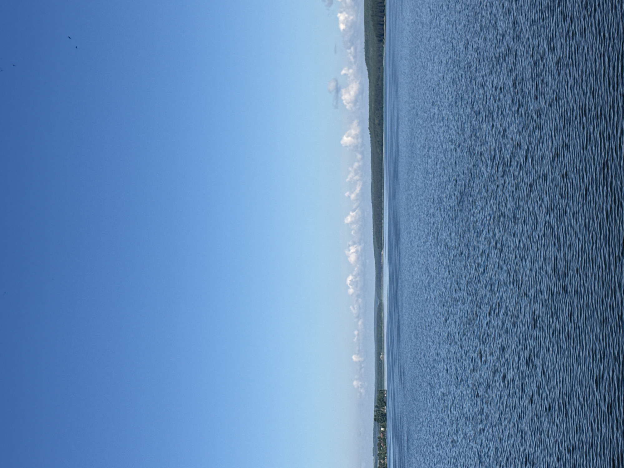 The image, when viewed horizontally, depicts a serene and expansive landscape dominated by a large body of water and a vast blue sky. A distant, low-lying landmass forms a thin horizon line across the middle, separating the two.
The right half of the image showcases a wide expanse of water, likely a lake or reservoir. Its surface is covered with a subtle, textured pattern of ripples, indicating a gentle movement or breeze. The water is a consistent deep blue color.
The left half is filled with a clear, bright blue sky, stretching upwards. Along the horizon, just above the distant land, a few small, detached white cumulus clouds are scattered. In the upper-left portion of the sky, a small flock of birds is visible as dark silhouettes against the blue.
The distant landmass appears to be heavily forested with dark green trees. In some sections, particularly towards the lower part of the land strip, faint indications of human settlement, possibly buildings or structures, can be discerned.
The scene captures a peaceful daytime moment, characterized by clear skies and calm conditions, likely in a natural setting. There are no prominent objects, people, or visible text in the image. Given the context, this view is consistent with the Votkinsk Reservoir in Votkinsk, Russia.