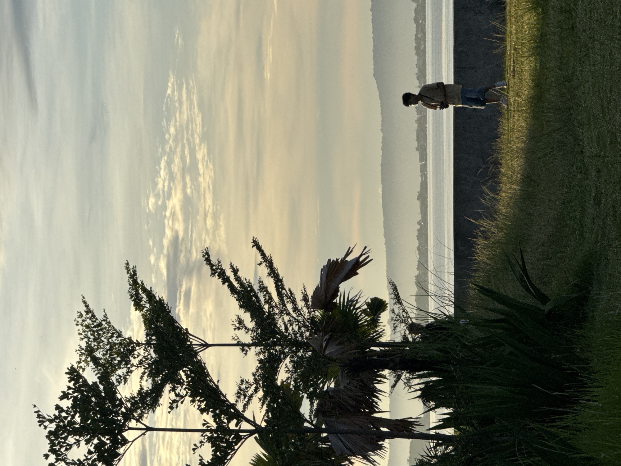 The image depicts an outdoor scene, likely near the coast, in the vicinity of Davao City, Philippines. The viewpoint is oriented toward the sky and water, with silhouettes of trees and vegetation in the foreground.
A single person is visible, standing on a grassy area near the water's edge. The individual appears to be facing the water, possibly looking out at the view.
The background consists of a body of water, possibly the sea or a bay, with land or islands visible in the distance. The sky is overcast or has a hazy appearance, suggesting either dawn or dusk.
The composition of the image suggests a tranquil and peaceful setting, possibly a park or recreational area near the coast of Davao City.