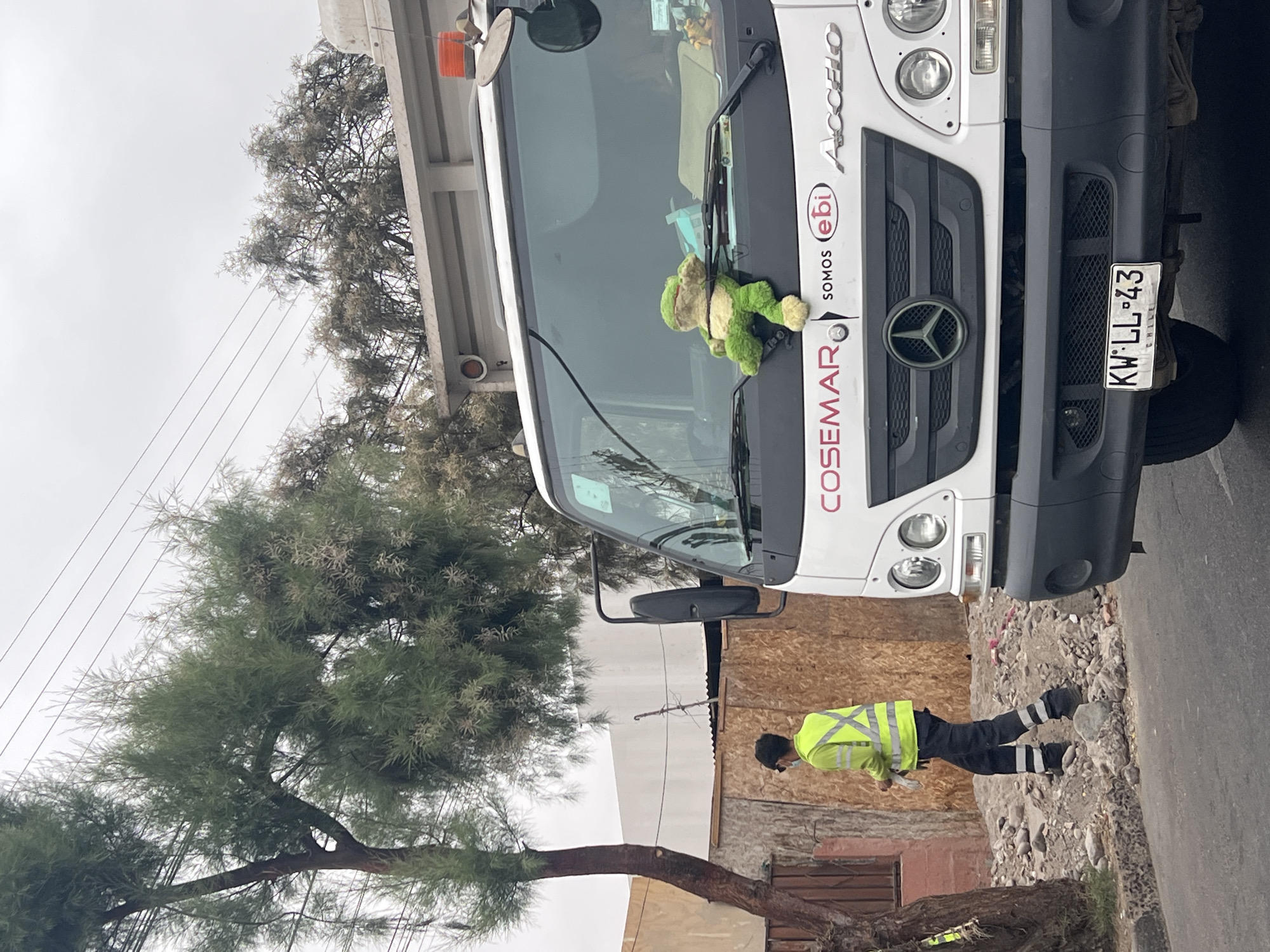A white and grey Mercedes-Benz Accelo truck is parked on a street in Arica, Chile, under an overcast sky. The truck, likely a utility or sanitation vehicle, features "COSEMAR" and "SOMOS (ebi)" branding on its front. A Chilean license plate, "KW·LL·43," is visible below the grille. A green and beige stuffed frog or turtle toy rests on the dashboard, visible through the windshield.
Beside the truck, a worker stands wearing a high-visibility yellow-green vest with reflective strips, dark pants with similar reflective bands, and a dark face mask. He holds a small, light-colored item in his hands.
To the left of the scene, a large tree with fine, light green foliage dominates the frame, its branches reaching towards the top. Overhead, power lines are visible against the uniformly grey, cloudy sky. The ground immediately adjacent to the asphalt road appears rocky and unpaved, with some debris. In the background, there is a simple light-colored building and a wooden fence. The scene captures a moment of routine daytime activity in what appears to be an urban or semi-urban environment.