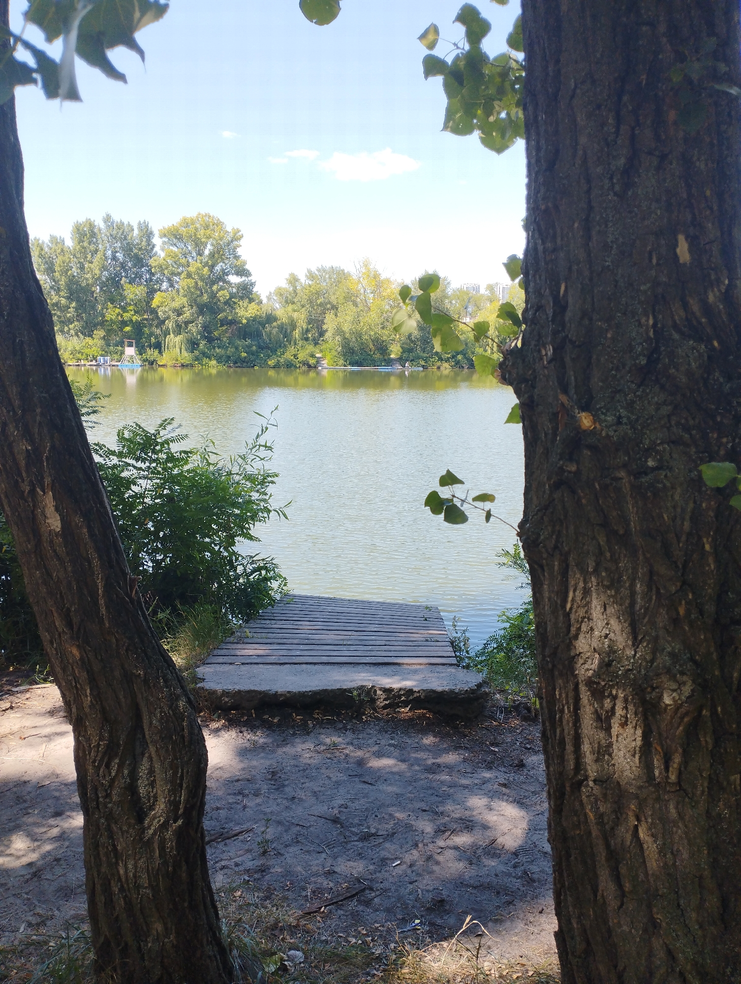 A wooden pier juts out into a calm body of water, framed by the trunks of two large trees. The water reflects the blue sky and scattered white clouds, as well as the lush green trees that line the opposite bank. In the distance, a small, light-colored structure on the water's edge may be a lifeguard tower or a small boathouse. The ground in the foreground is sandy with sparse dry grass and fallen leaves, dappled with the shadows of the trees. The overall scene suggests a peaceful, natural setting within an urban environment, possibly a park or recreational area.