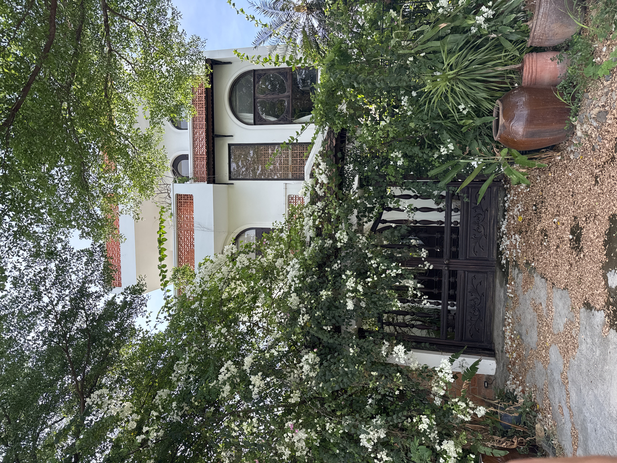 The image shows the exterior of a two-story white house with red brick accents and dark brown wooden doors and window frames. The house is partially obscured by lush green foliage and white flowering vines. On the ground in front of the house, there is a concrete pathway covered with fallen leaves and scattered small stones. Several terracotta pots are visible, containing various plants, including a large brown ceramic pot in the foreground. The setting appears to be a residential area in Nam Nha Trang Ward, Vietnam, given the tropical vegetation and architectural style.