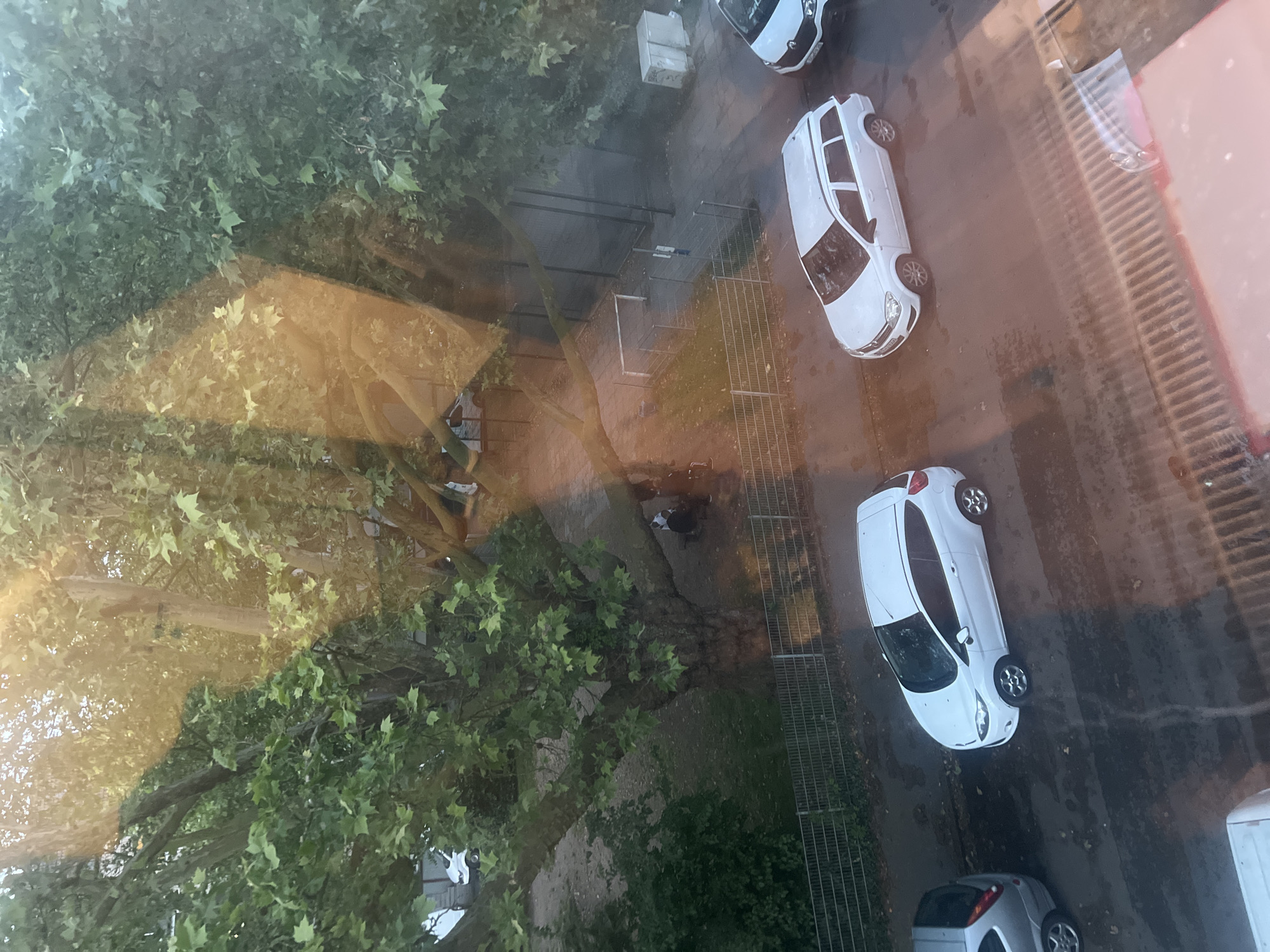 The scene is located in Herne, Germany. The image is captured from an elevated indoor vantage point, looking downwards through a window, evident by prominent warm-toned reflections and light flares across the frame.
The environment depicts an urban green space adjacent to a street. A dense canopy of mature trees with broad, green leaves dominates the upper and central portions of the frame. At the base of a large tree in the center-left, two individuals are present: one is standing, wearing a light-colored top and dark trousers, while the other is seated on a low structure, dressed in dark clothing.
A metal fence delineates the green space from a paved area and the street. To the right of the large tree, a smaller, fenced-off sports pitch is visible, featuring a white goalpost. A light-colored utility box is situated near the right edge of this paved section.
The foreground features a wet asphalt street, upon which four vehicles are parked. From left to right, these include the rear section of a silver hatchback, a white two-door Ford Fiesta, a white Opel Astra station wagon, and the front portion of a white Renault vehicle.