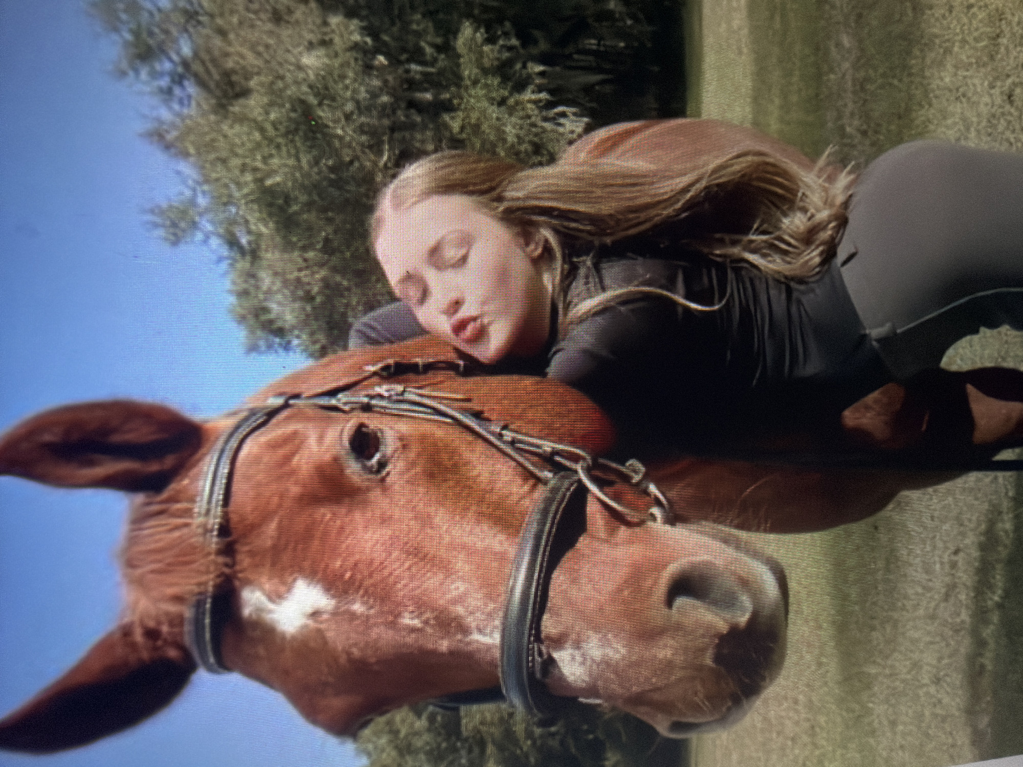 A clear, daylight photograph depicts a chestnut horse and a woman interacting affectionately in an outdoor, grassy environment. The horse, positioned on the left side of the frame, is equipped with a black leather bridle and features a distinct white blaze on its forehead. Its ears are erect, and its eyes are visible. To the right of the horse, a female with long, light brown hair, dressed in a black long-sleeved top and dark grey form-fitting pants, is leaning into the horse's neck. Her eyes are closed, and her lips are pursed in an expression of affection. The background consists of green trees under a clear blue sky. The ground is covered in short green grass. The scene is located in the city of Shumen, Bulgaria. The image exhibits visible pixelation, suggesting it is a photograph taken of a digital display.