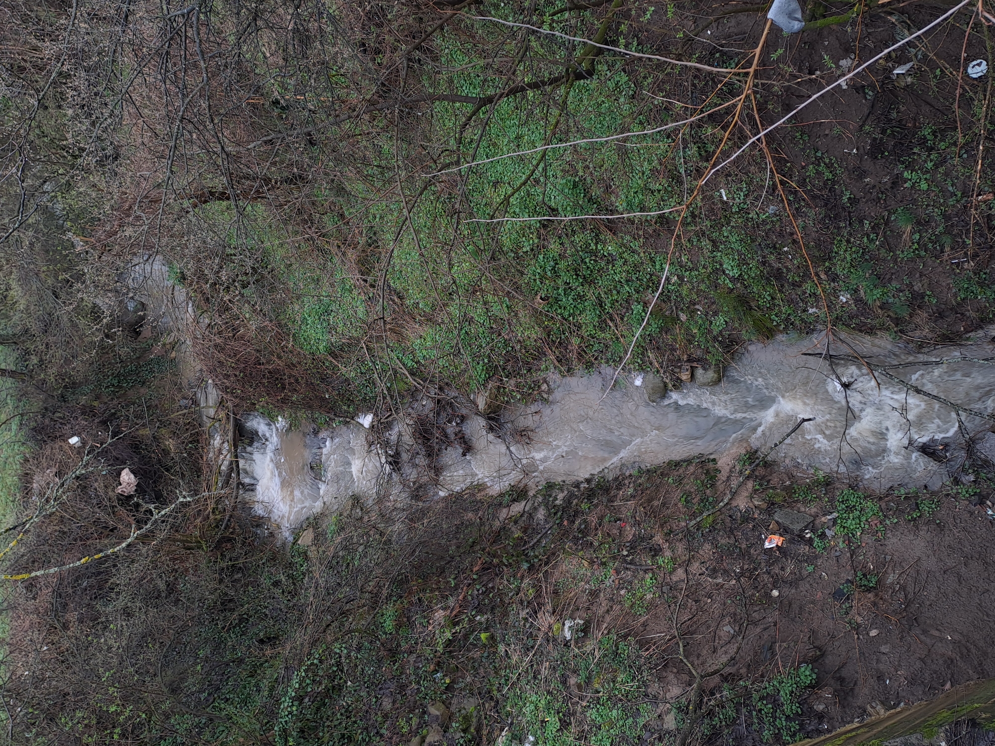 The image shows a top-down view of a shallow, muddy stream flowing through a ravine. The banks are covered with bare trees, branches, and patches of green vegetation. Litter, including plastic bags and other discarded items, is scattered along the banks and within the stream. The scene appears to be in an undeveloped area, possibly on the outskirts of or within the city of Spanchevtsi, Bulgaria. There are no people visible.