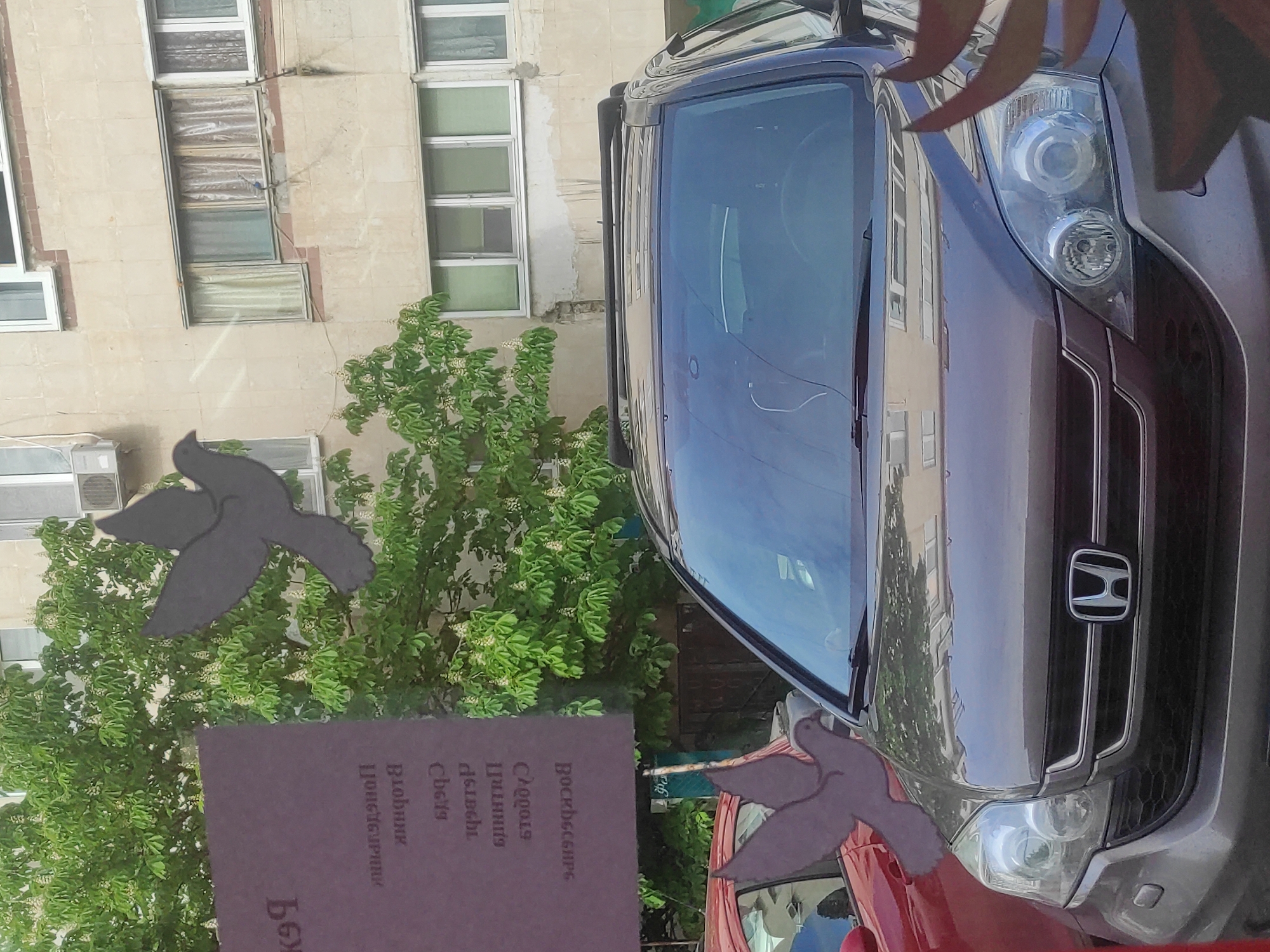 The image presents a street scene in what is presumed to be Unknown, Unknown. On the right side of the frame, the front of a purple Honda SUV is visible. Next to it, partially obscured, is a red vehicle. In the center, a green leafy tree stands behind a sign with Cyrillic writing and attached cutout bird figures. A building facade with multiple windows is visible in the background.