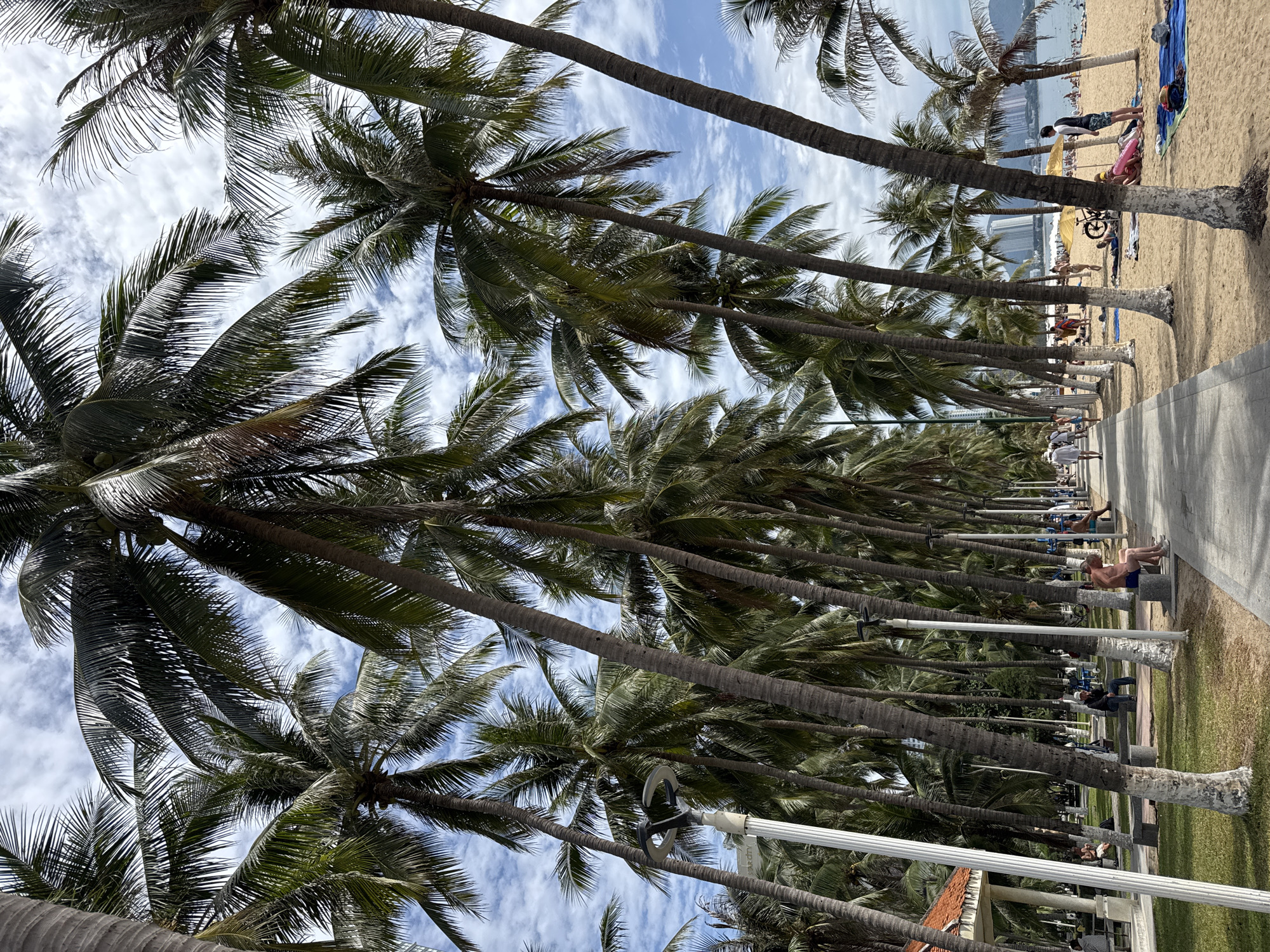This image depicts a lively scene along the beach in Nha Trang, Vietnam, a popular coastal city renowned for its beaches and palm trees. The foreground is dominated by a paved walkway running alongside a sandy beach lined with numerous palm trees. People are seen strolling along the walkway, sitting on benches, and relaxing on the sand. Some individuals are engaged in activities like sunbathing, while others are conversing or simply enjoying the scenery.
The beach itself is bustling with activity, with a mix of sunbathers, swimmers, and beachgoers scattered across the sand. Beach umbrellas provide shade, and a few bicycles are visible, suggesting recreational activities. In the background, the ocean stretches out to the horizon, with a hazy skyline of high-rise buildings visible in the distance, indicating the urban environment of Nha Trang. The sky is a mix of blue and white clouds, suggesting fair weather conditions. The overall impression is one of a vibrant and popular tourist destination, with a strong emphasis on outdoor recreation and beach life.