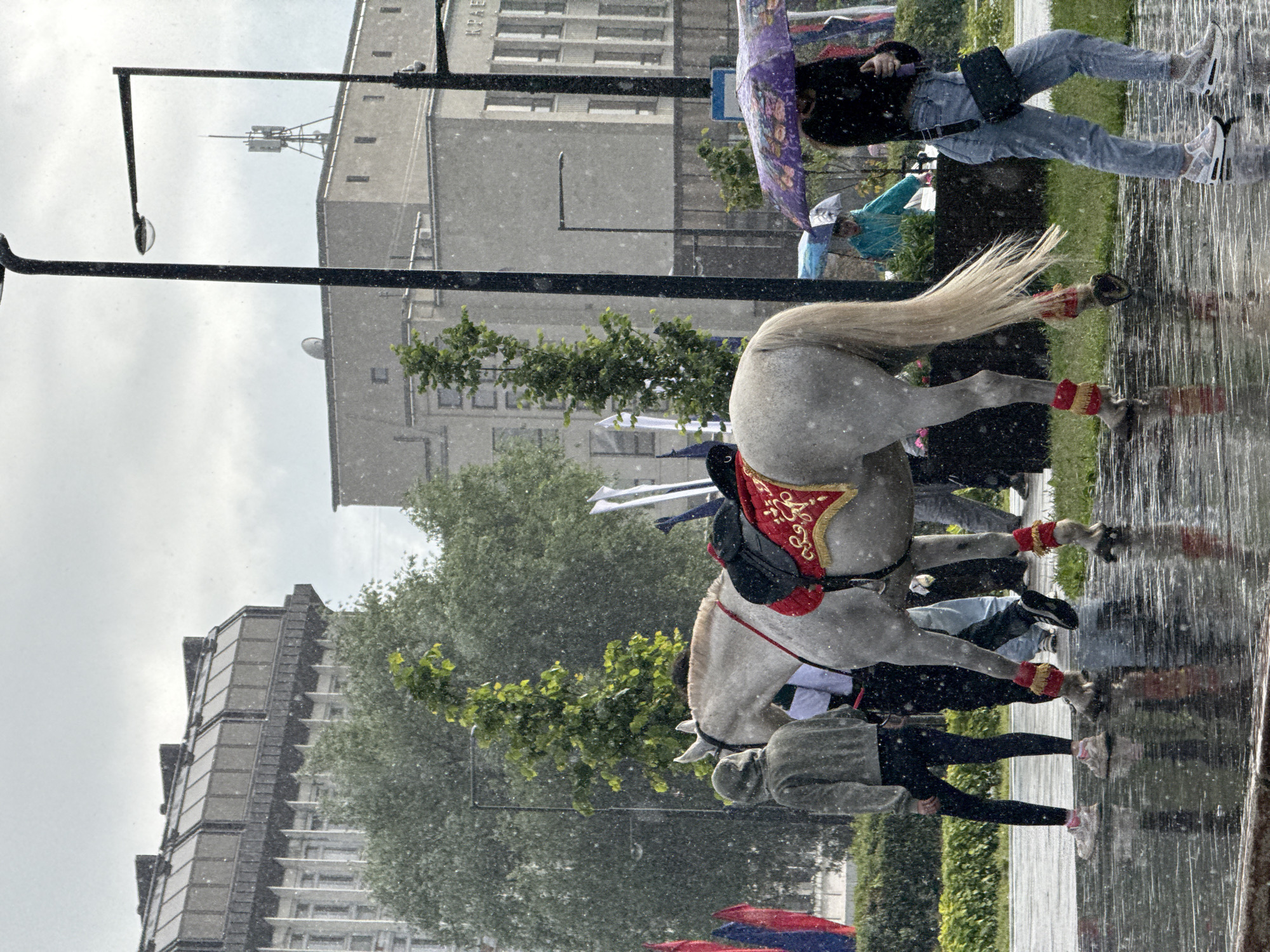 In the city of Perm, Russia, a white horse adorned with a red and gold saddle blanket and red leg wraps stands on a wet pavement, indicating rain. The horse is partially obscured by falling precipitation. Several people are present: a person wearing a grey hoodie and black leggings is walking away from the horse; another person in dark clothing is partially visible behind the horse; and a person holding a colorful umbrella walks by on the right, also in the rain. In the background, buildings with modern architecture, trees, and streetlights are visible under a cloudy sky. The ground is reflecting the surroundings due to the wet conditions.