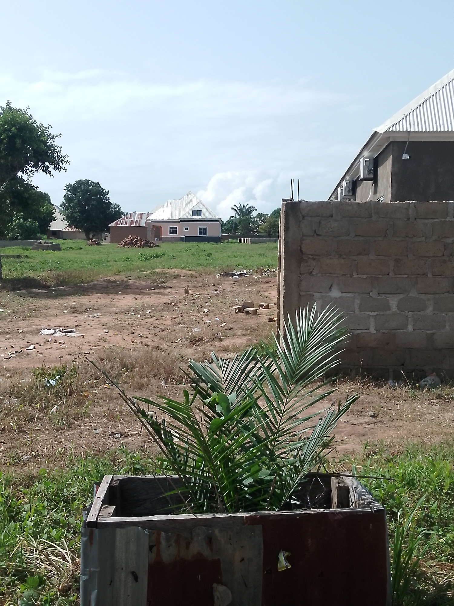The image captures an outdoor scene with several buildings and vegetation. In the foreground, a young palm tree is growing in a rustic planter made of weathered wood and corrugated metal. Behind the planter, a wall constructed from concrete blocks is partially visible on the right side of the frame. Further in the background, a cluster of houses is situated on a grassy area with some dirt patches. One of the houses has a distinct white roof, and another features a corrugated metal roof. Several trees, including one with dense green foliage on the left, are interspersed among the buildings. The sky above is largely clear with some scattered clouds. The overall impression is that of a developing or partially constructed area in a town or village.