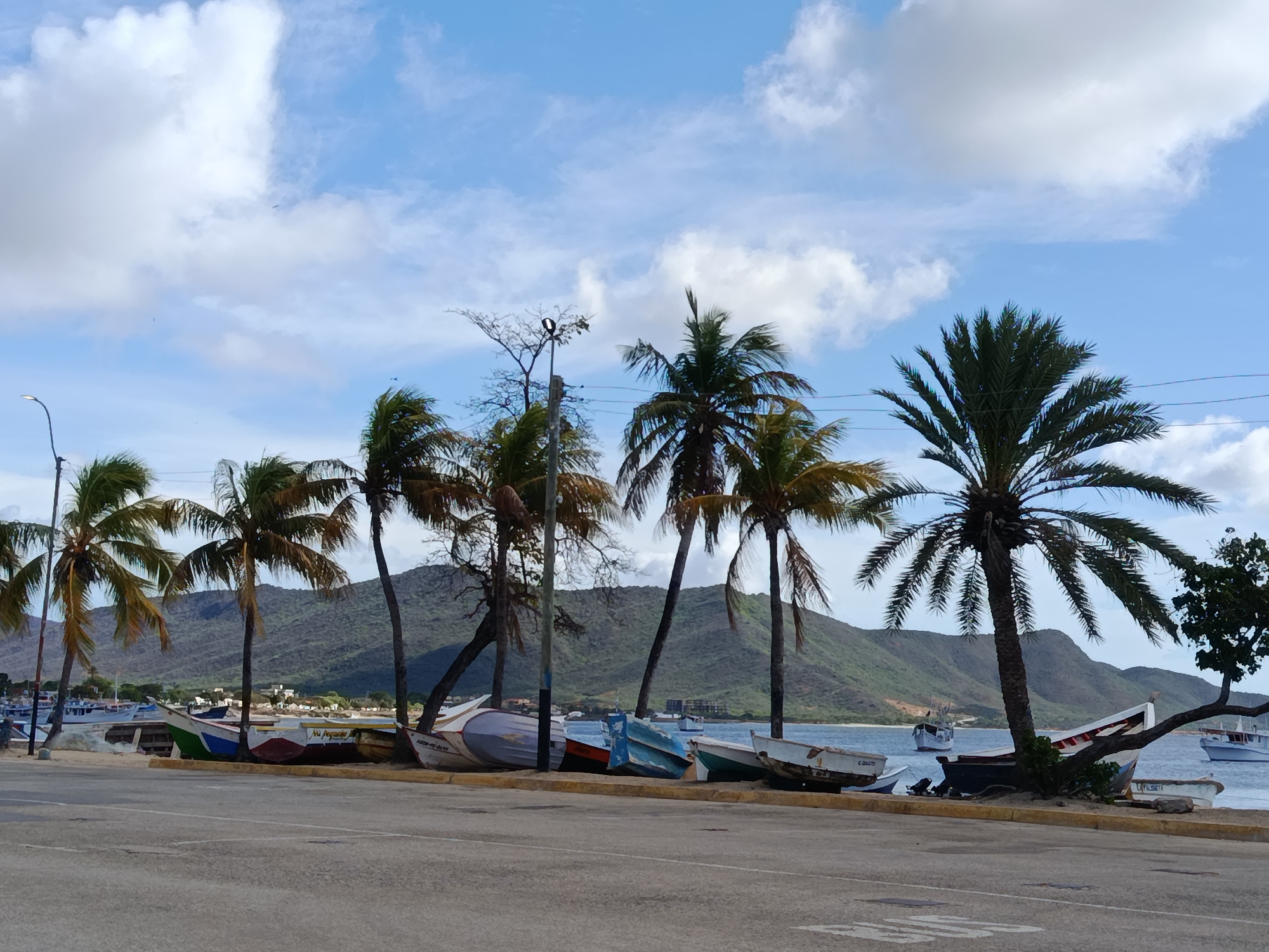 The image depicts a sunny day in Juan Griego, Venezuela, with a view of the coastline. In the foreground, a paved road runs horizontally across the bottom of the frame. Beyond the road, a sandy area is lined with several small fishing boats pulled ashore. The boats are of various colors and sizes, some appearing weathered and others more recently painted. Palm trees are scattered along the sandy area, with their fronds swaying in the breeze. In the middle ground, the calm blue water of the bay is visible, with several larger boats anchored further out. The background is dominated by rolling, green hills that form the coastline of Juan Griego. The sky above is a bright blue, dotted with fluffy white clouds. The scene suggests a peaceful coastal town, likely a fishing village, with its boats resting on the shore under the warm sun.