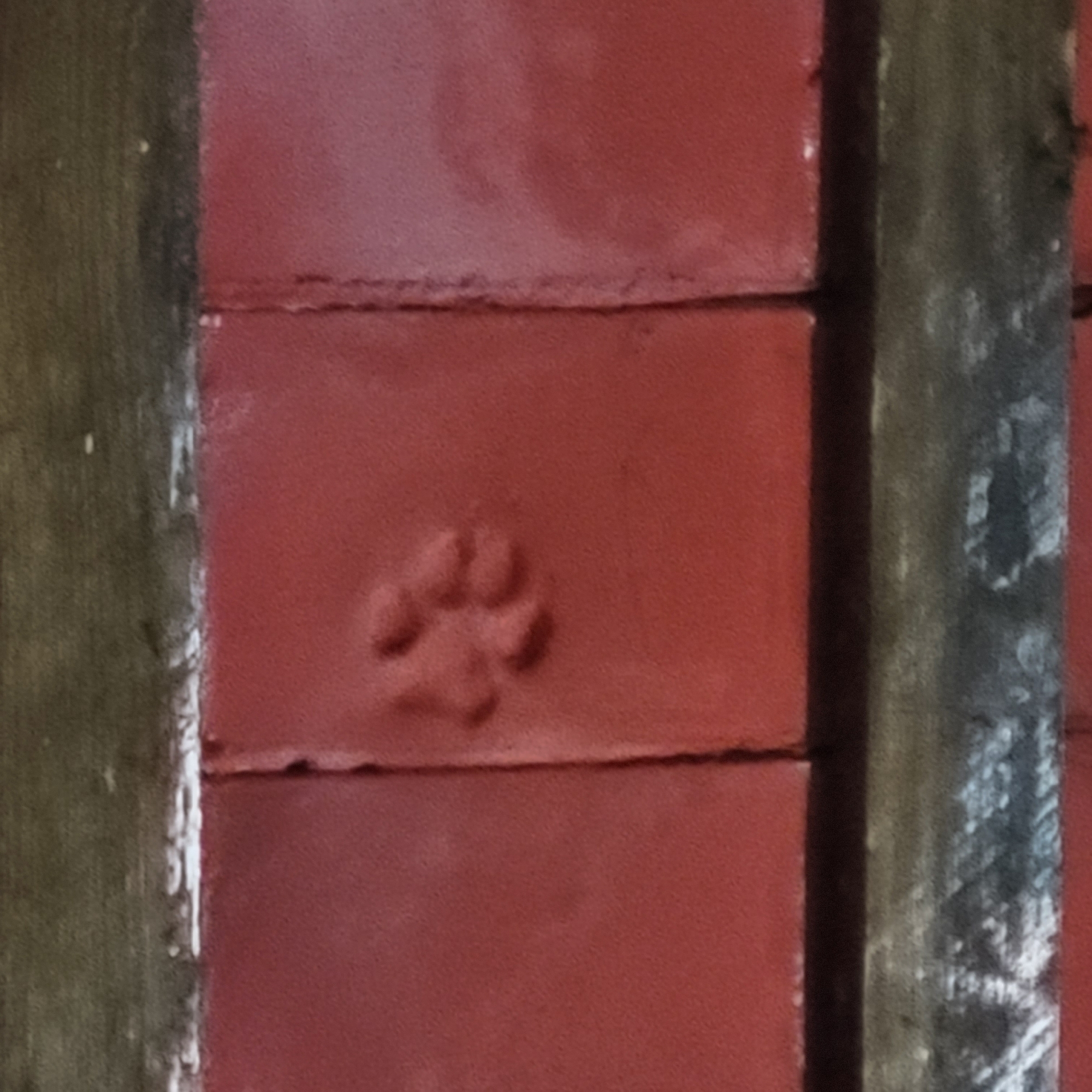 A close-up shot features a red, brick-like wall with visible horizontal seams. A small, raised paw print is imprinted in the center of one of the bricks. On the left and right sides of the frame are blurred, weathered wooden beams.
Given the reference to San Fernando del Valle de Catamarca, Argentina, and the prevalence of brick structures, the image likely depicts a section of a wall, potentially of a building or structure within the urban environment of the city. The paw print suggests the presence of a domesticated animal, possibly a cat or dog, in the vicinity of the wall.