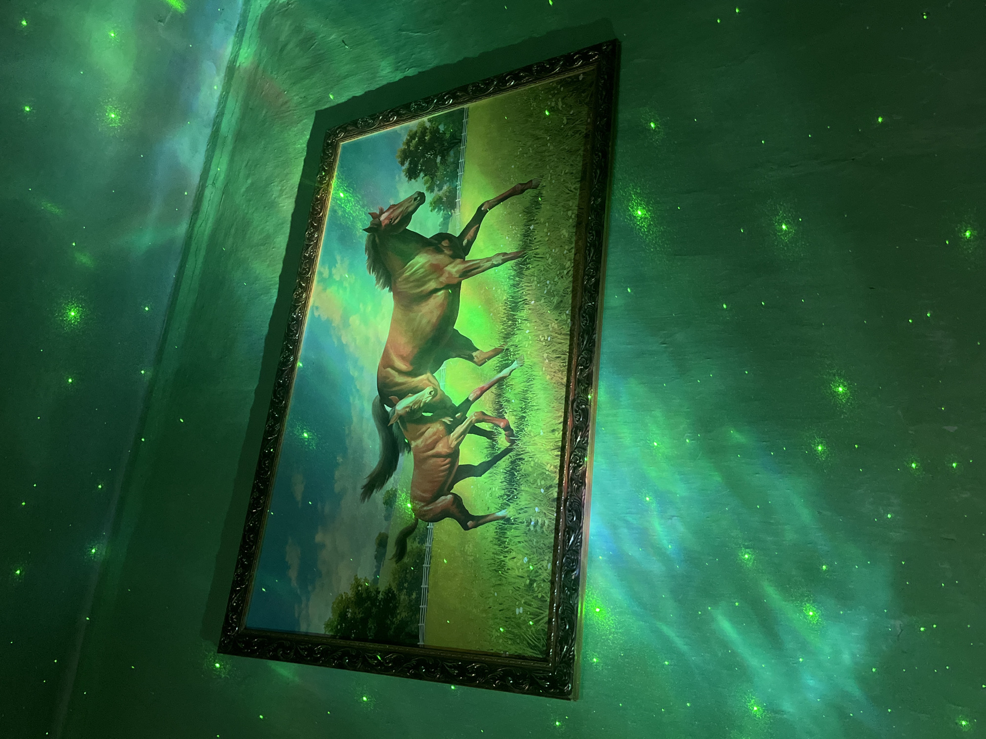 A framed painting of two rearing horses hangs on a green wall. The painting is in portrait orientation and has an ornate, dark-colored frame. The wall is illuminated with green light, resembling stars. The location is not specified in the image.