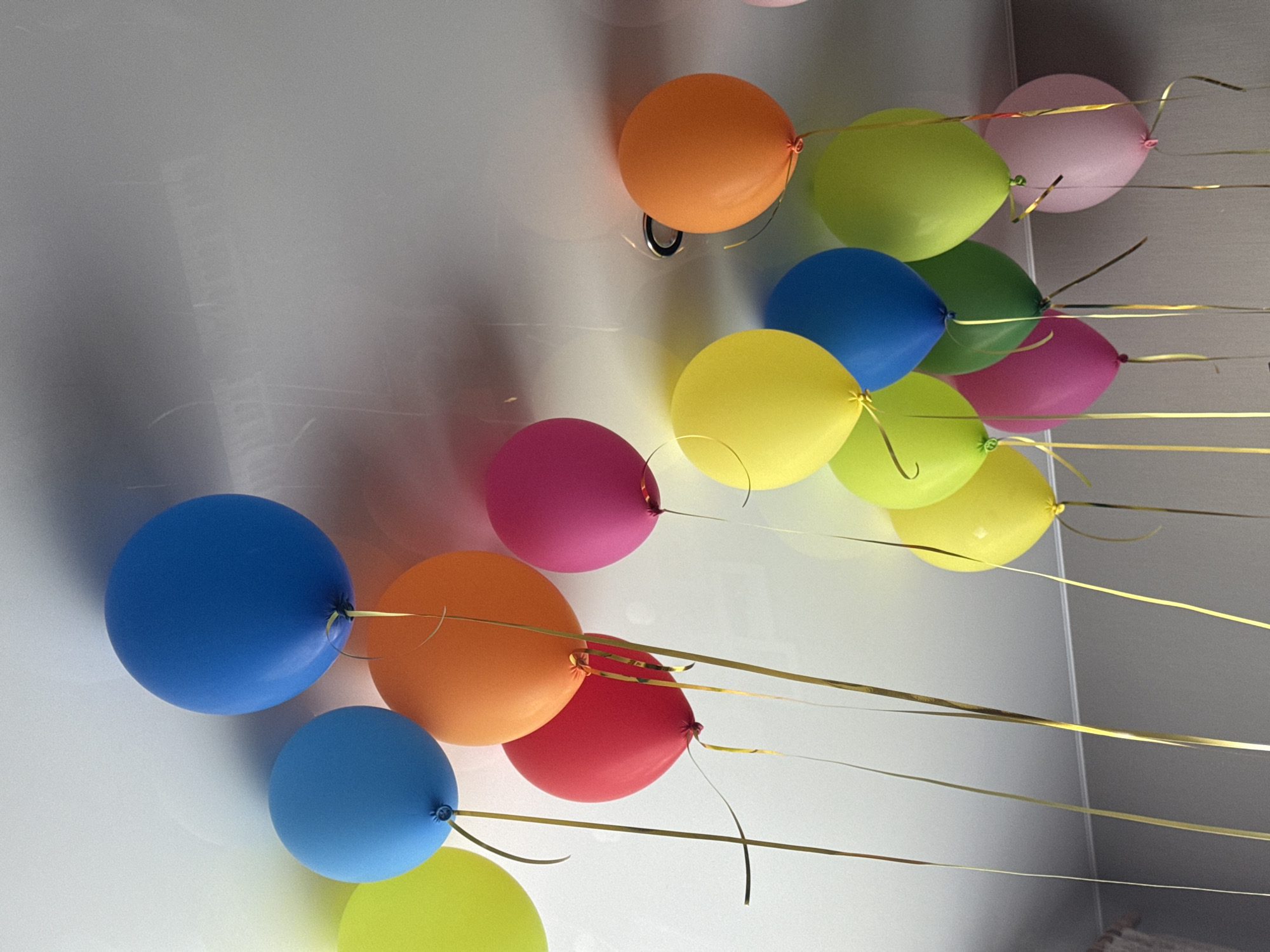 This image captures a vibrant, overhead view of numerous colorful balloons filling an indoor space, likely a ceiling or light-colored wall. The balloons are clustered together and appear to be helium-filled, as long, golden, reflective ribbons trail from each one, some ribbons intertwining. The balloons showcase a wide spectrum of bright hues, including orange, various shades of yellow, blue, pink, green, and red.
The background surface is a uniform light grey or white, providing a neutral backdrop that makes the balloons stand out. Soft shadows are cast by the balloons and ribbons, indicating the lighting conditions. A small, circular metallic fixture, possibly a light or smoke detector, is visible near an orange balloon in the upper part of the image.
There are no people visible in the scene. The arrangement and quantity of balloons strongly suggest a festive atmosphere, indicative of a party, birthday, or other celebration. There is no visible text within the image. Based on the provided context, the scene is located indoors in Moscow, Russia.