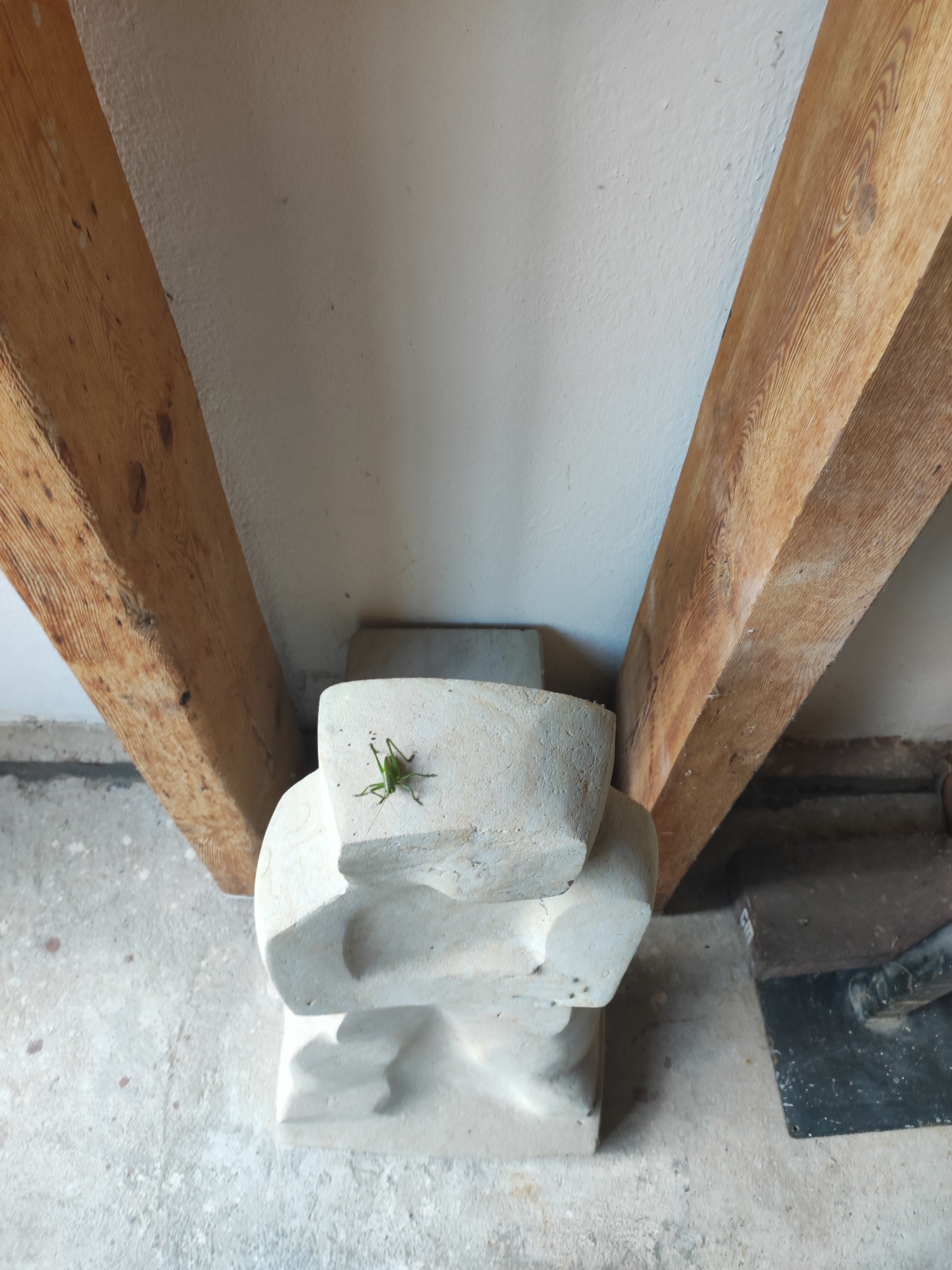The image shows a concrete sculpture with a grasshopper on top, positioned between two wooden beams. The scene appears to be an indoor workshop or construction site, with a concrete floor and white walls. A trowel lies on the floor to the right of the sculpture. There is no indication of the city of Dresden, Germany.