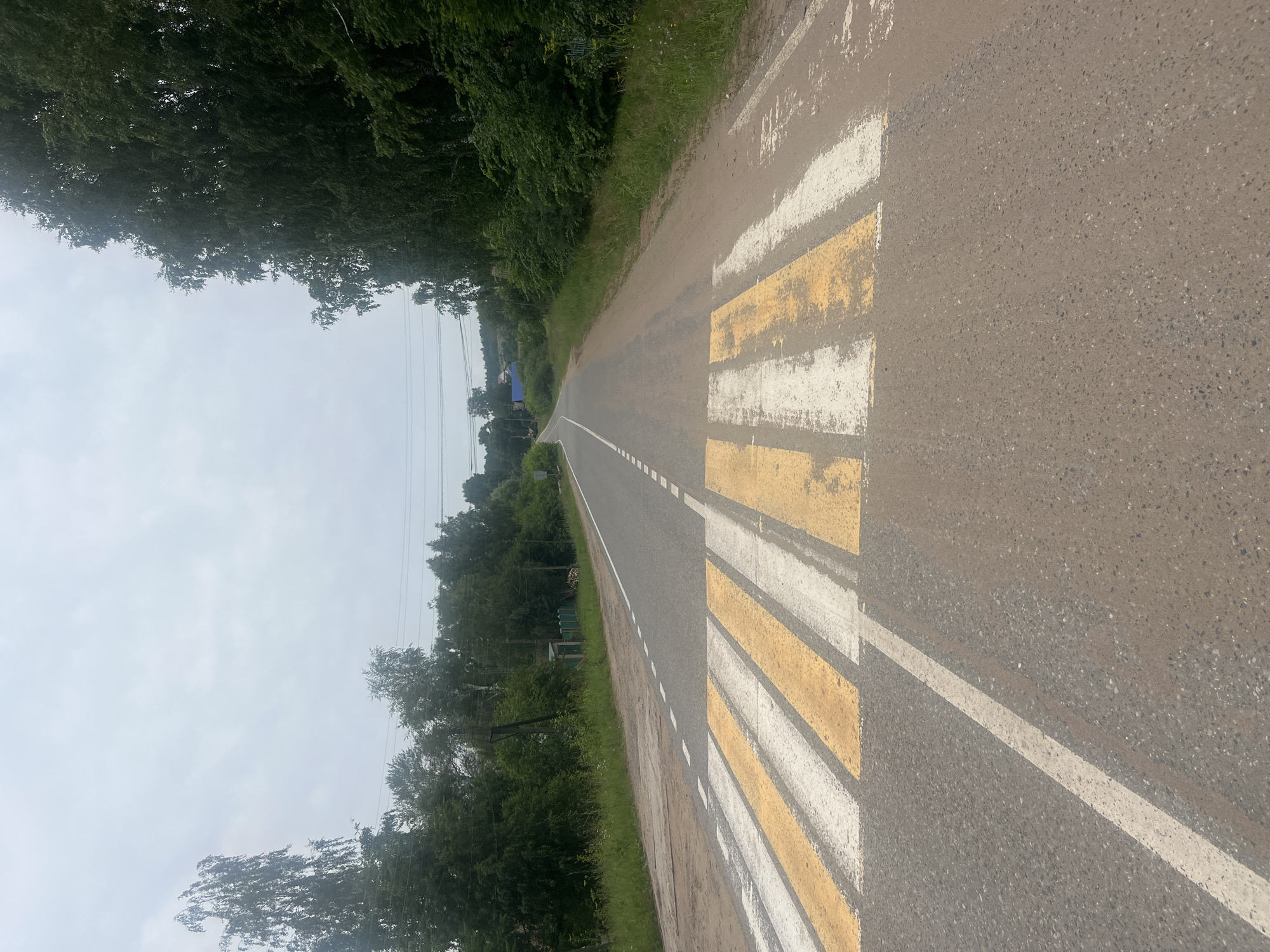 The image shows a pedestrian crossing on a two-lane asphalt road. The crossing is marked with alternating yellow and white stripes. The road is bordered by green trees and grass on both sides. In the distance, there are some houses and utility poles with wires. The sky is overcast with clouds. The image appears to be taken from a low angle, looking down the road. There are no people or vehicles visible in the image.