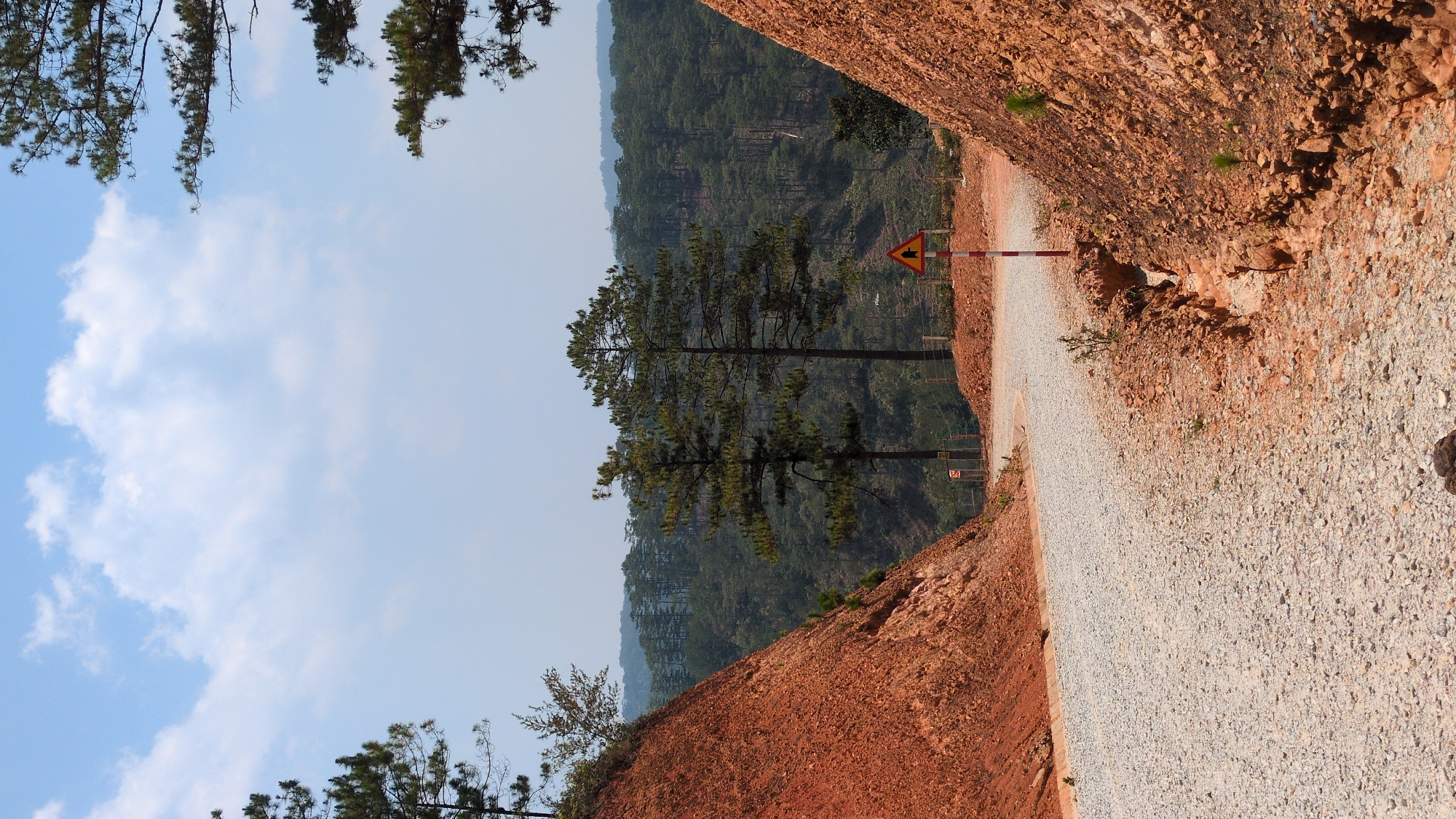 A slightly tilted medium shot reveals a gravel road cutting through a landscape in Lạc Dương, Vietnam. To the right, a steep, rocky, reddish-brown bank rises, while on the left, the bank descends. Vegetation clings to both sides. The road is mostly composed of small, light-colored gravel and slopes downward slightly.
In the background, a dense, dark green forest covers the hills. A warning sign on a red and white striped pole stands in the middle ground of the image, indicating a potential road hazard. The sky above is pale blue with scattered white clouds. Overhead, tree branches hang into the frame. The image evokes a sense of remote natural terrain.
