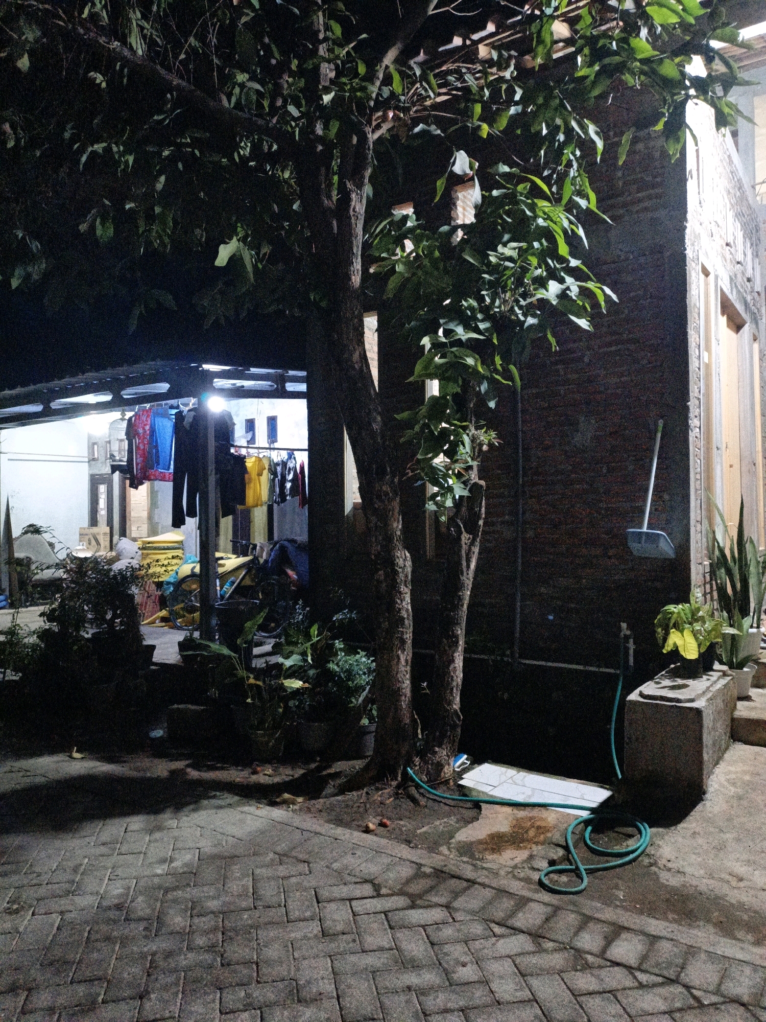The image depicts an outdoor scene at night, likely in a residential area, possibly Cikal, Indonesia. A prominent tree with dense foliage stands in the foreground, casting shadows on a paved walkway made of interlocking bricks. To the left, a covered area with a corrugated roof is visible, where laundry is hung on a clothesline. Several garments, including shirts and pants, are displayed. A bicycle with a yellow frame is parked nearby, along with stacked yellow items that appear to be sacks or bags. Various potted plants and greenery are scattered throughout the scene. To the right, a brick wall forms part of a building, with a broom and dustpan hanging on it. A garden hose is coiled on the ground, near a concrete structure with a potted plant. The lighting suggests artificial illumination from the covered area and potentially from the building. No people are visible in the frame.