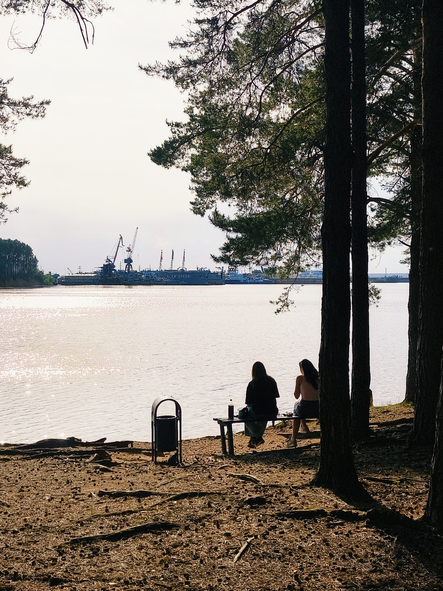 Here is a description of the image:
The image shows a waterfront scene in the city of Chaikovsky, Russia. In the background, across the water, a ship building or repair facility is visible, with several cranes and ships docked or being worked on.
In the foreground, a small group of people are sitting on a bench near the water's edge. There is a trash can next to the bench. The area is somewhat wooded, with several trees and exposed roots. The ground is covered with pine needles. The lighting suggests it is either early morning or late afternoon.