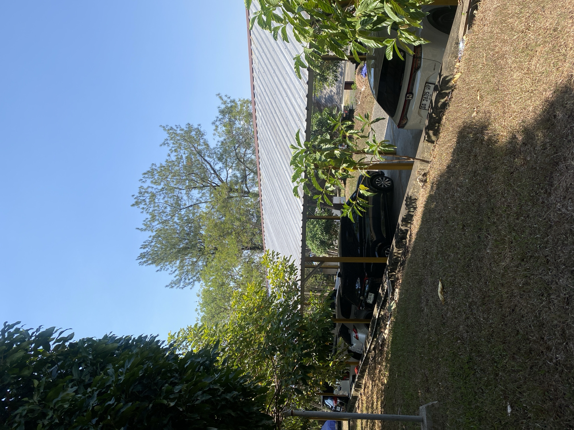 The image depicts an outdoor scene under a clear blue sky, likely in Banjarbaru, Indonesia. A covered parking area, with a corrugated metal roof supported by wooden beams, shelters several parked cars. The cars appear to be a mix of black and white sedans and SUVs. The ground beneath the parking structure is paved, while the surrounding area is covered in dry, brown grass, with some patches of greener vegetation. In the foreground, a large tree with dark green foliage partially obscures the view on the left side of the frame. Several smaller, leafy plants are also visible, particularly in front of the parking area. The atmosphere is bright and sunny, suggesting daytime. No people are visible in the image.