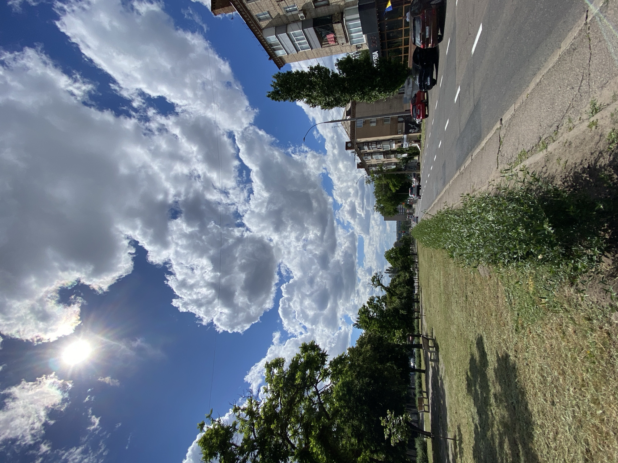 This is a high-angle, eye-level, full outdoor shot of a city street on a sunny day with scattered clouds. The sun is bright and visible in the upper left corner, casting a halo and creating lens flare. The sky is a vibrant blue, with large, puffy white clouds dominating the upper half of the image.
The foreground features a strip of green bushes along the edge of a paved road. To the left of the bushes is a grassy area with scattered benches and trees casting dappled shadows. The grass appears recently mowed in some sections.
The road itself is asphalt with white lane markings. Several cars are visible, including a red car, a black car, and a brown SUV, parked or driving on the right side of the road.
On the right side of the road are multi-story brick buildings, typical of an urban environment. These buildings have windows, balconies, and some commercial storefronts at ground level. One storefront has a sign that reads "ETERIA 365". A street lamp is visible between two buildings.
In the distance, the road curves to the left, lined with more trees and buildings, suggesting a moderately populated urban area. The overall impression is a clear, bright day in a residential or commercial district of a city.