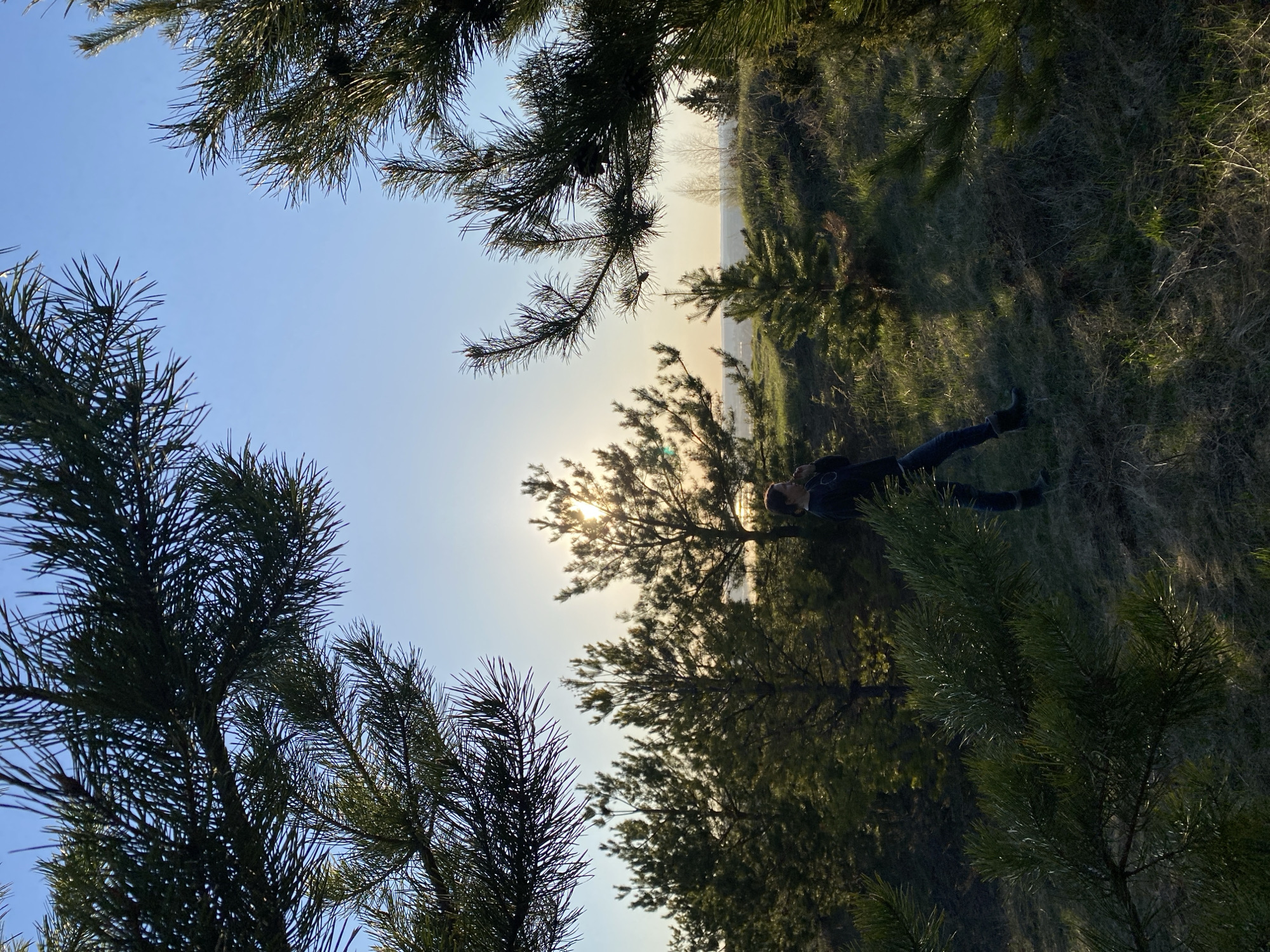 The image shows a person lying on the ground amidst trees. The scene is framed by pine tree branches in the foreground against a backdrop of the sky. The sun appears to be behind the tree near the person, creating a silhouette effect. The ground is covered with dry grass and other vegetation. The location is Ольховка, Russia.