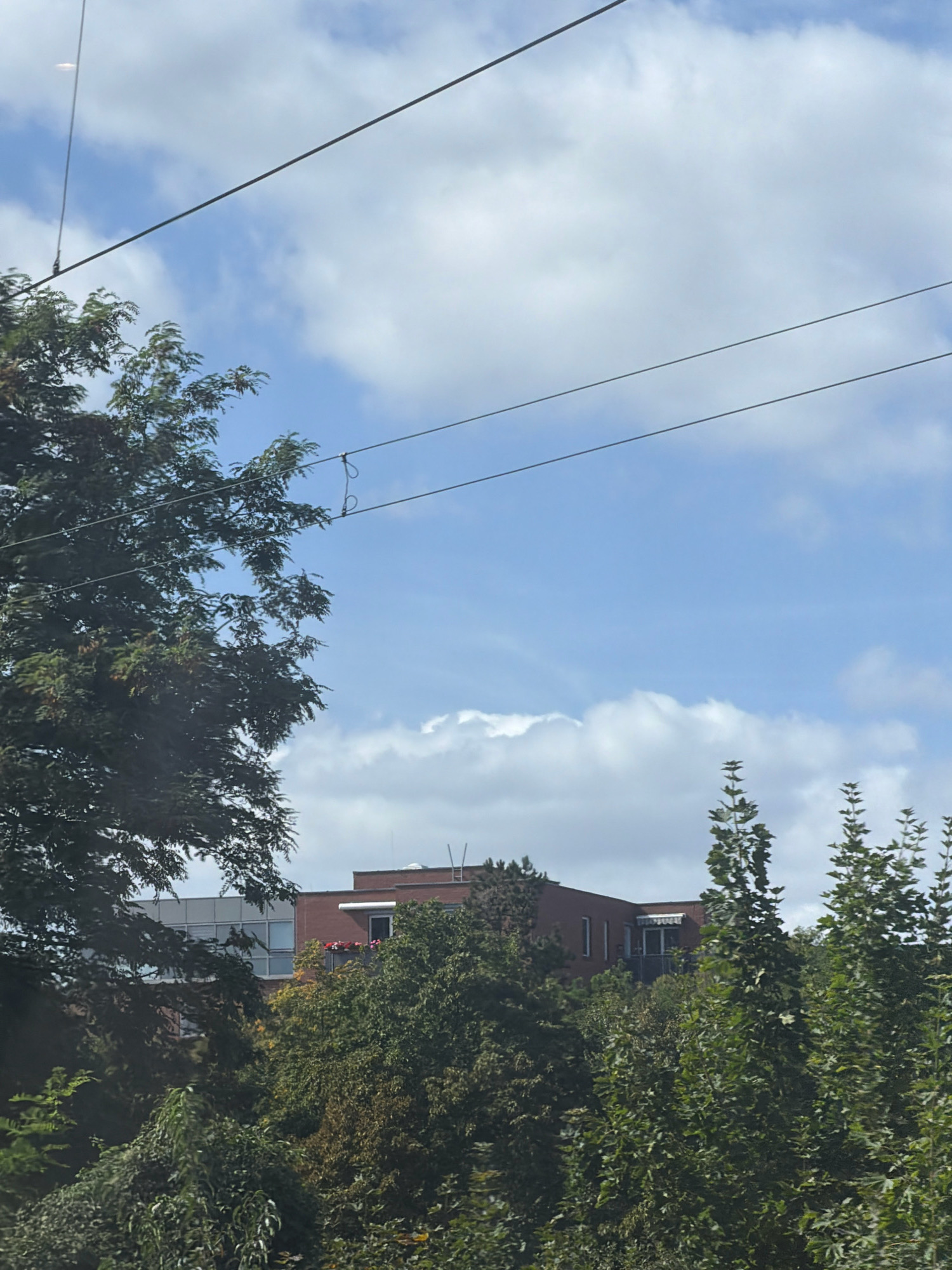 A low-angle shot captures a sky filled with fluffy white clouds against a bright blue backdrop, bisected by two thin black wires. In the foreground, lush green trees dominate the left and right sides of the frame, their leaves dense and varied. Behind the foliage, a red brick building with a light-colored section is visible, featuring several windows and a balcony with red flowers. The scene appears to be an outdoor setting, possibly in a residential or urban area, given the presence of the building and overhead wires.