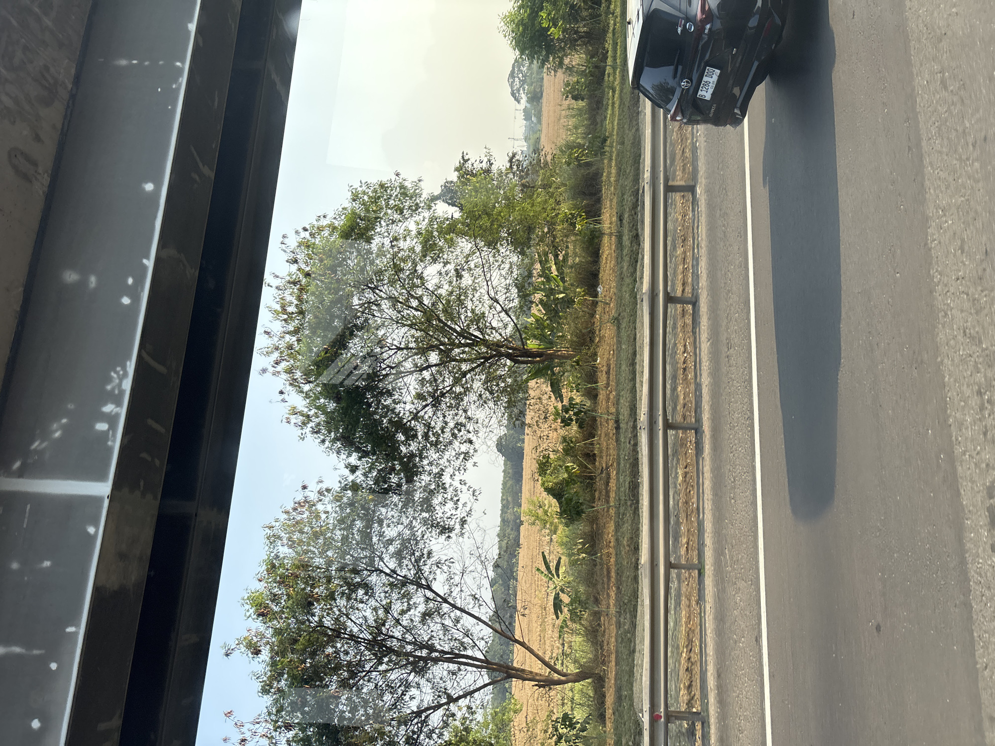 The image shows a view from inside a vehicle, looking out at a rural landscape. In the foreground, a portion of a highway is visible, with a white line marking a lane. A dark-colored SUV is driving on the highway, its rear end and license plate clearly visible. The license plate reads "B 1286 DOO". Beyond the highway, there is a metal guardrail separating the road from a field. The field appears to be agricultural land, possibly a harvested rice paddy, with dry, golden stalks. Several trees of varying sizes are scattered throughout the landscape, some with green foliage and others appearing more sparse. In the distance, more trees and some industrial structures, possibly cranes or towers, are visible against a hazy sky. The scene suggests a location in the outskirts of Karawang, Indonesia, characterized by a mix of agricultural land and developing infrastructure. The lighting indicates it is daytime, likely late afternoon given the angle of the sun and the shadows cast.