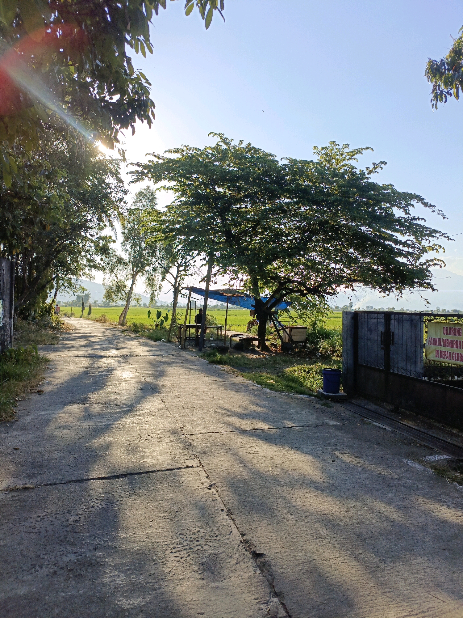 The image depicts a rural road in Rowosari, Indonesia, bathed in the warm glow of the late afternoon sun. A paved road, cracked in places, winds through lush green rice fields. Tall trees with dense foliage line the road, casting long shadows across the asphalt. Sunlight streams through the leaves, creating a dappled effect.
On the right side of the road, a dark metal gate guards an entrance, with a yellow sign posted on it. A blue plastic bucket sits on the ground near the gate. Underneath a makeshift shelter with a blue tarp, a wooden bench is visible, and a person is seated. In the distance, mountains are faintly visible against the clear blue sky. The overall scene conveys a sense of tranquility and rural life in Indonesia.