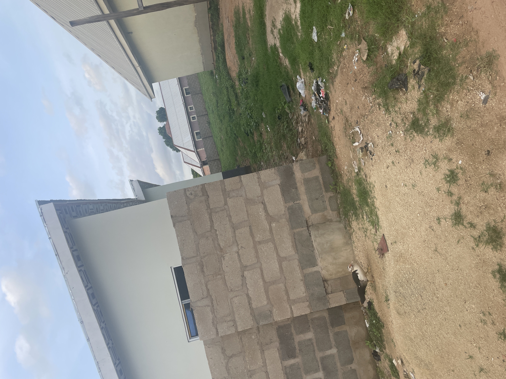 In Jalingo, Nigeria, the image captures an outdoor scene featuring a partially constructed building with a light-colored facade and a metal roof, adjacent to another building with a similar roof. A wall constructed of grey concrete blocks stands prominently in the foreground. A single duck, with black and white plumage, is visible standing on sandy ground near the block wall. The environment includes patchy green grass and dirt, with scattered debris such as plastic bags and other refuse. The sky above is partly cloudy.