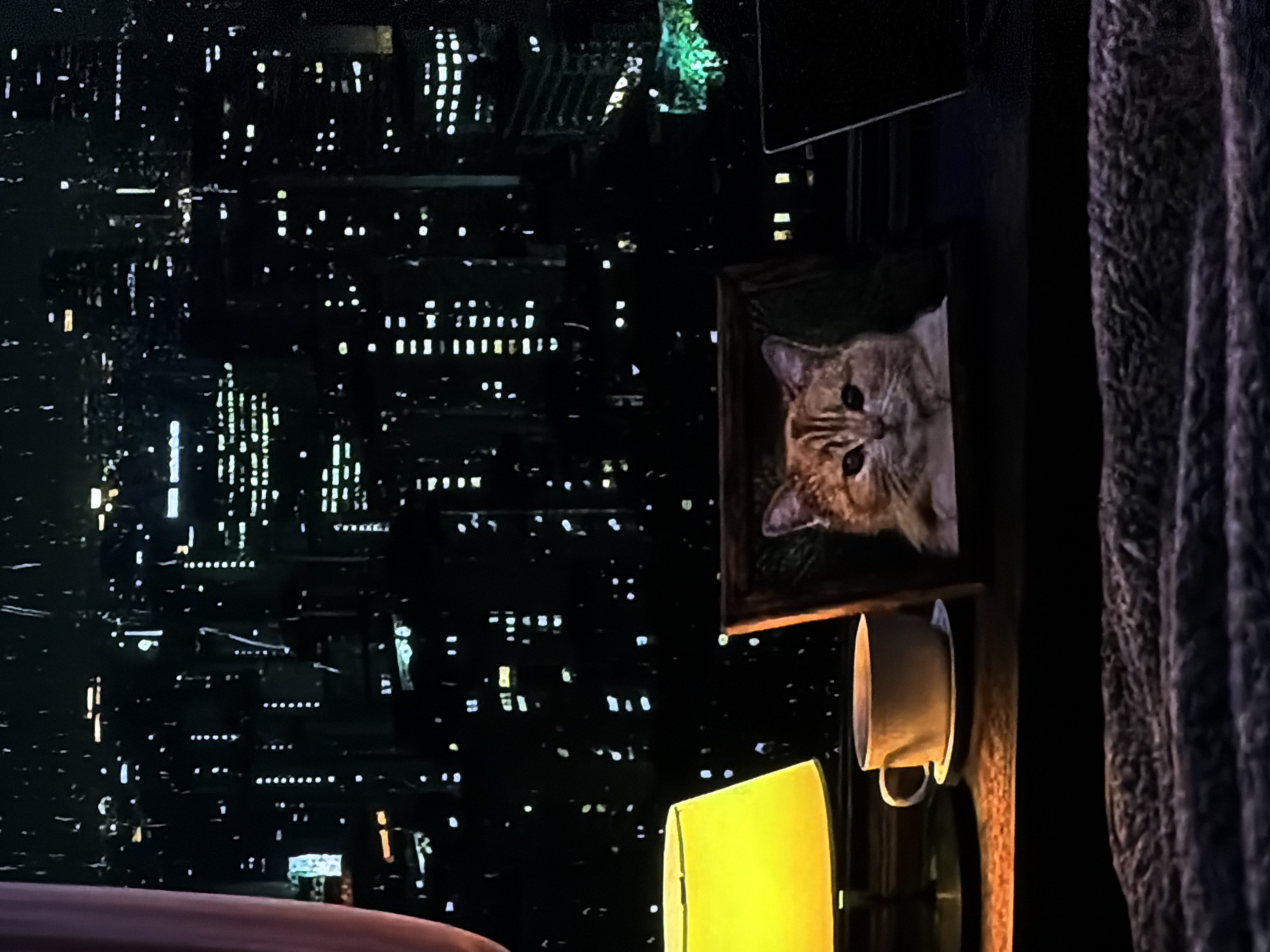 The image displays an indoor scene at night, looking out through a window onto a city. The overall mood is dark with points of light.
In the foreground, on the right side, a dark, textured curtain or piece of fabric partially frames the view. To its left, a framed picture of an orange tabby cat, looking directly at the viewer, is prominently displayed. Below the cat picture, a white ceramic mug hangs upside down from a hook or shelf. Further left and below the mug, a bright yellow lamp or light source casts a warm glow into the room. In the bottom left corner, a curved, reddish-brown surface, possibly an armrest of a sofa or a piece of furniture, is visible.
Beyond the window, a sprawling cityscape is illuminated against a dark night sky. Numerous brightly lit windows of buildings create a dense pattern of white and yellow rectangular and square lights across the vast darkness. These lights suggest a bustling urban environment. A hint of green foliage, possibly a tree, is visible near the top right of the outdoor scene, illuminated by distant lights.
The time of day is clearly night, evidenced by the darkness and the artificial lights. There is no discernible weather information. No explicit activity is taking place; it's a static view from a room. There is no visible text in the image. The location context provided is Sofiivska Borshchahivka, Ukraine, suggesting this view is from within that area.